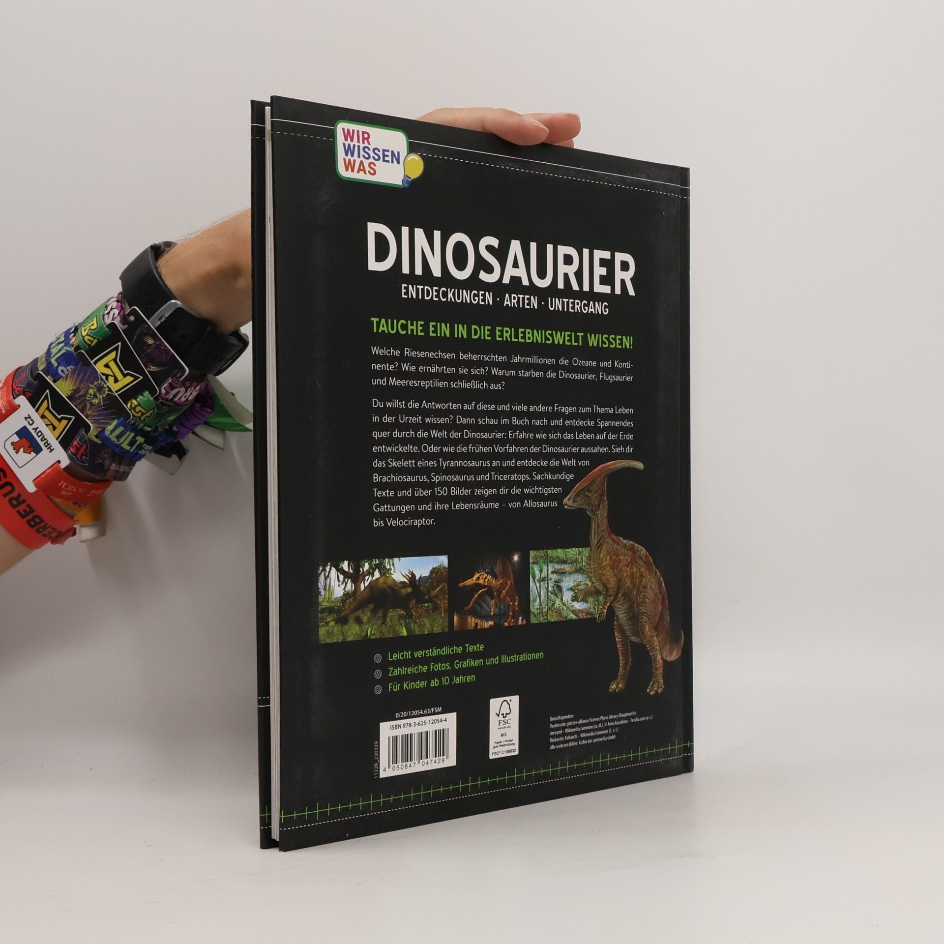 Collectif d'auteurs Dinosaurier