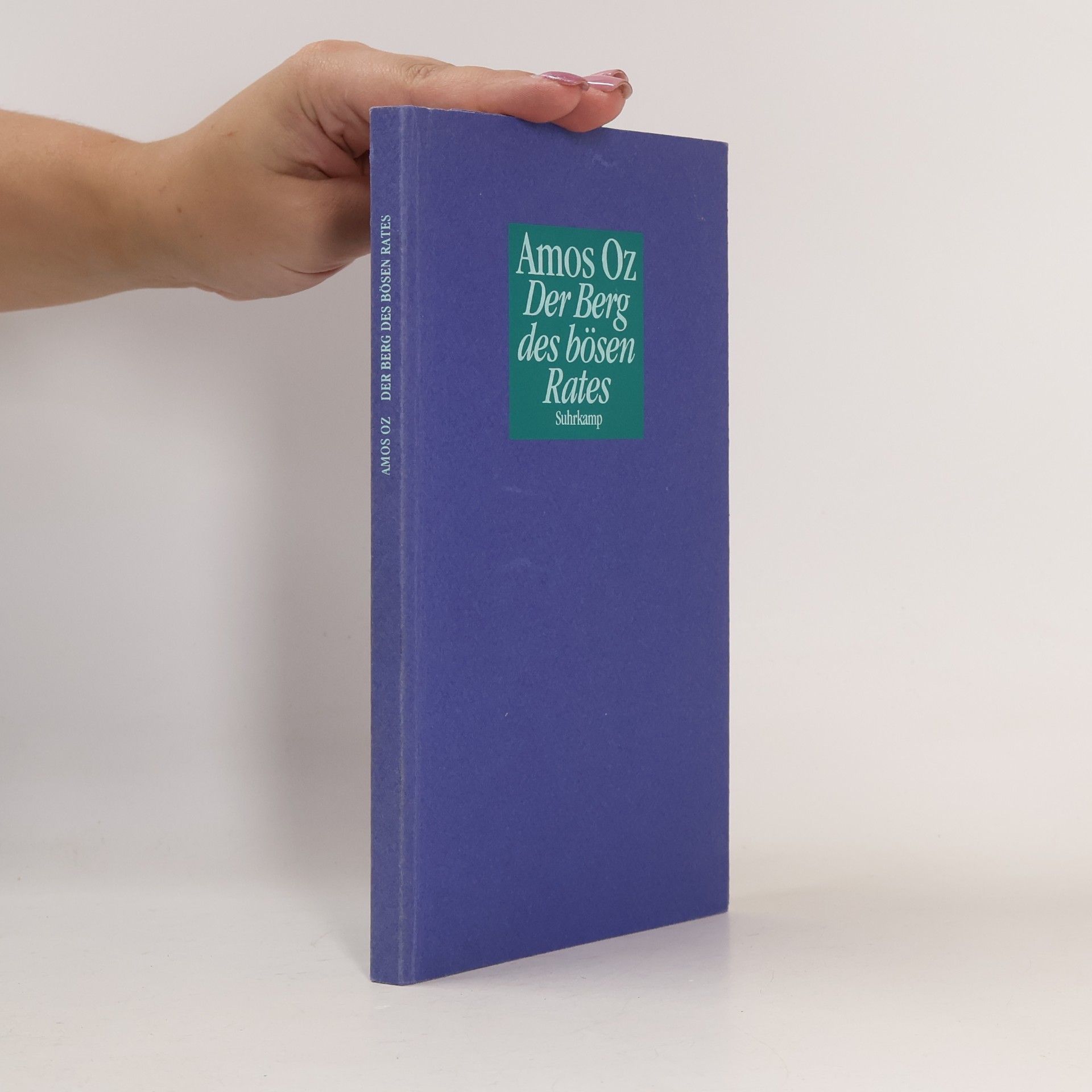 Amos Oz Der Berg des bösen Rates