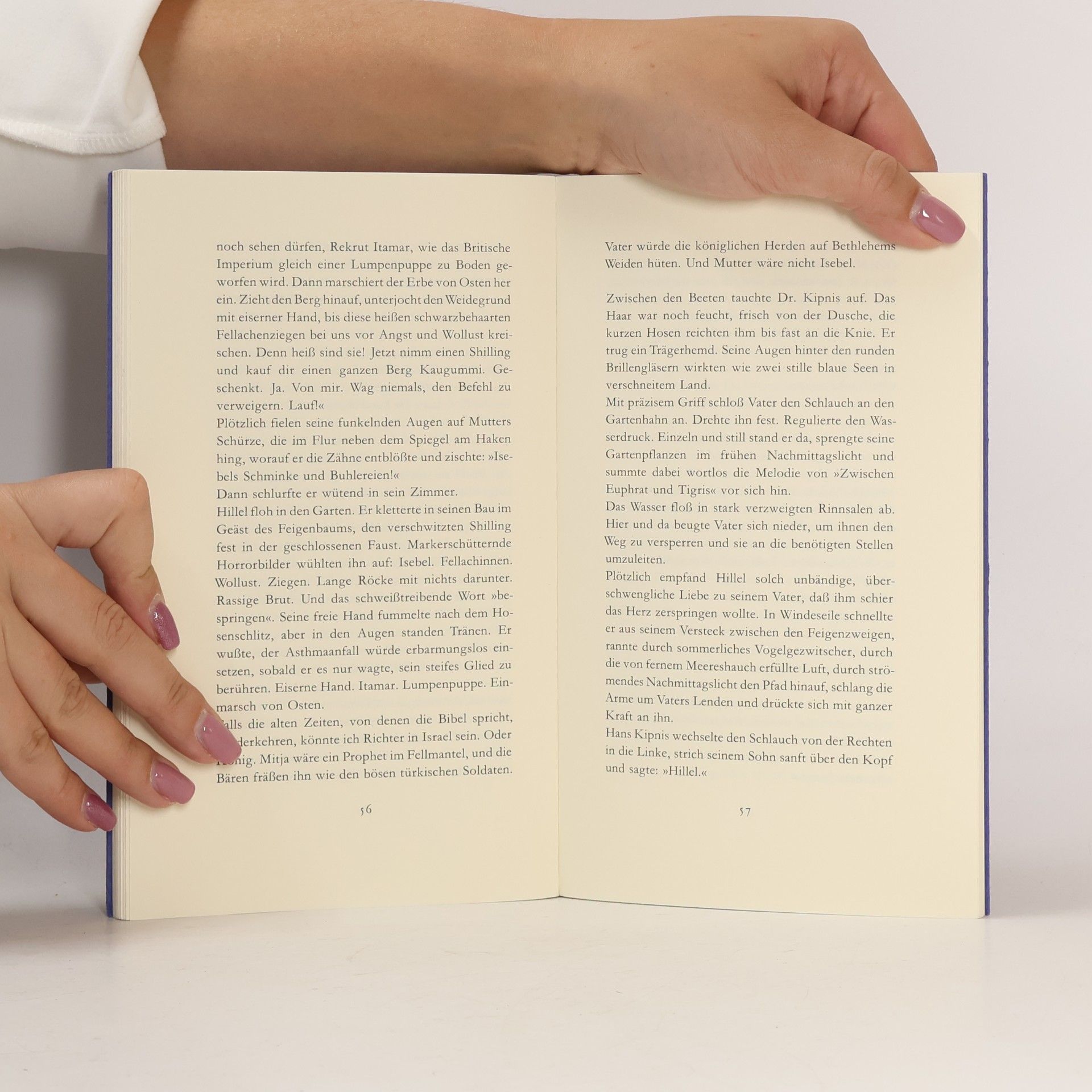 Amos Oz Der Berg des bösen Rates