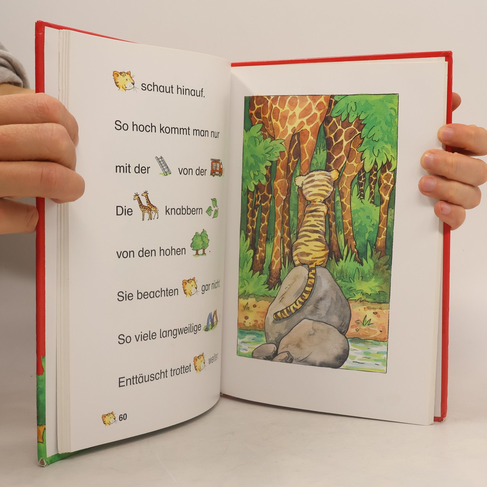 Autorenkollektiv Mein Bilderlesebuch