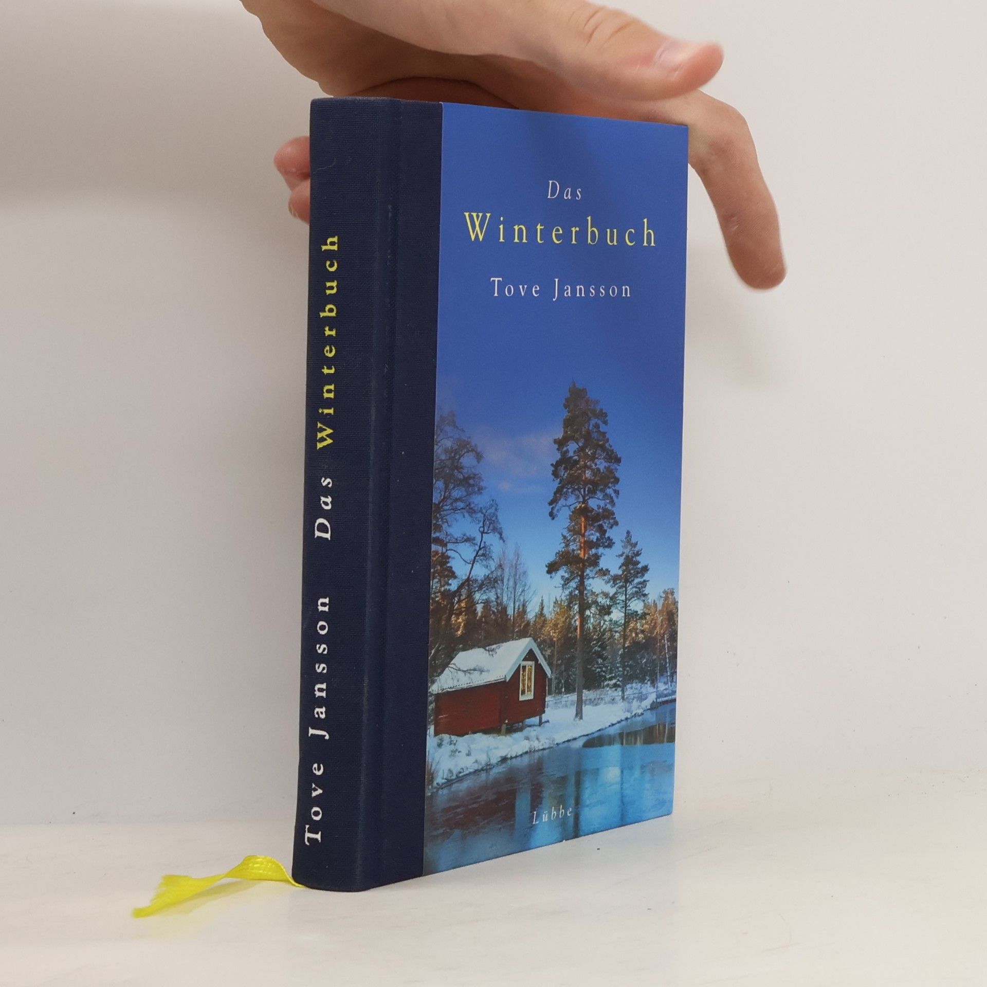 Tove Jansson Das Winterbuch