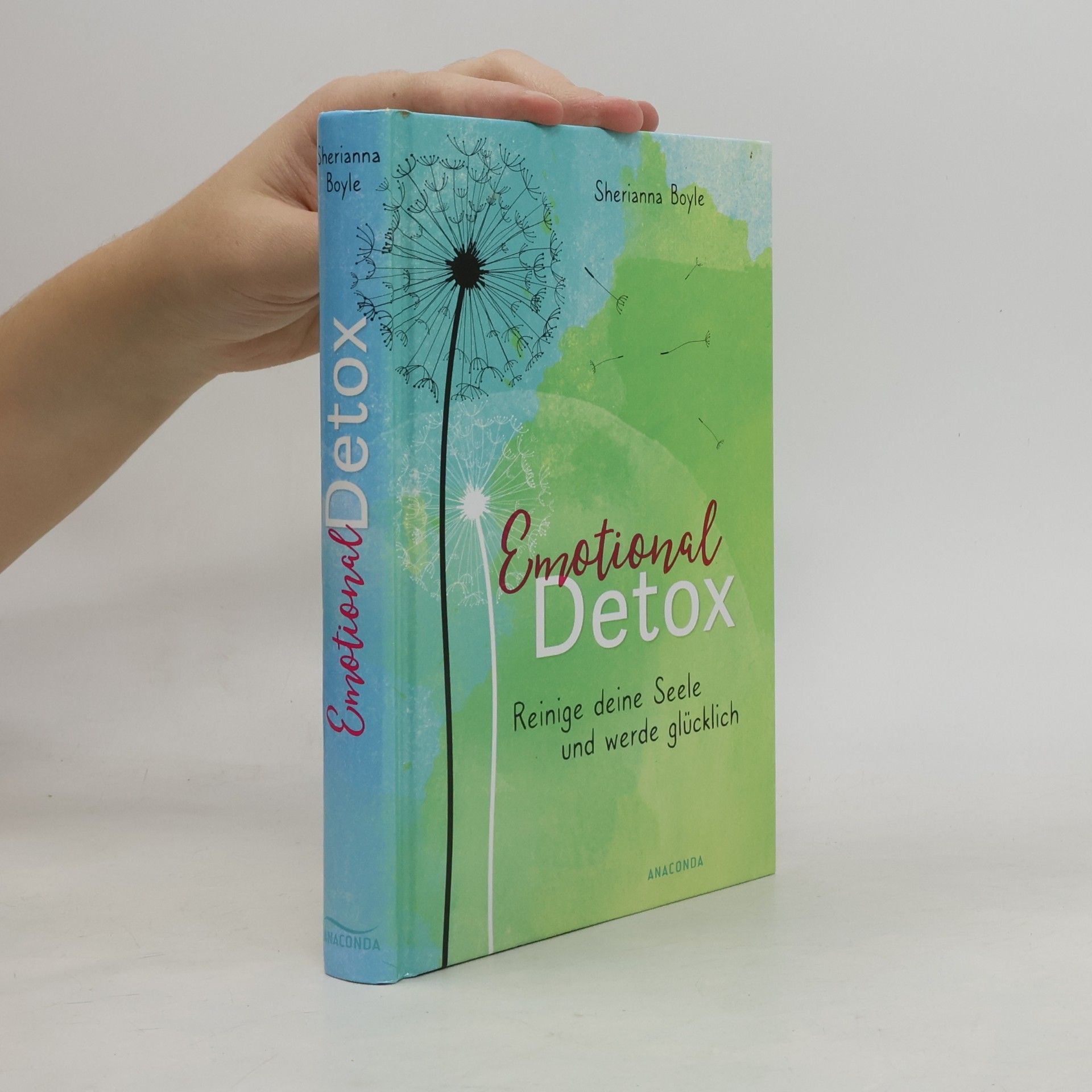Emotional Detox