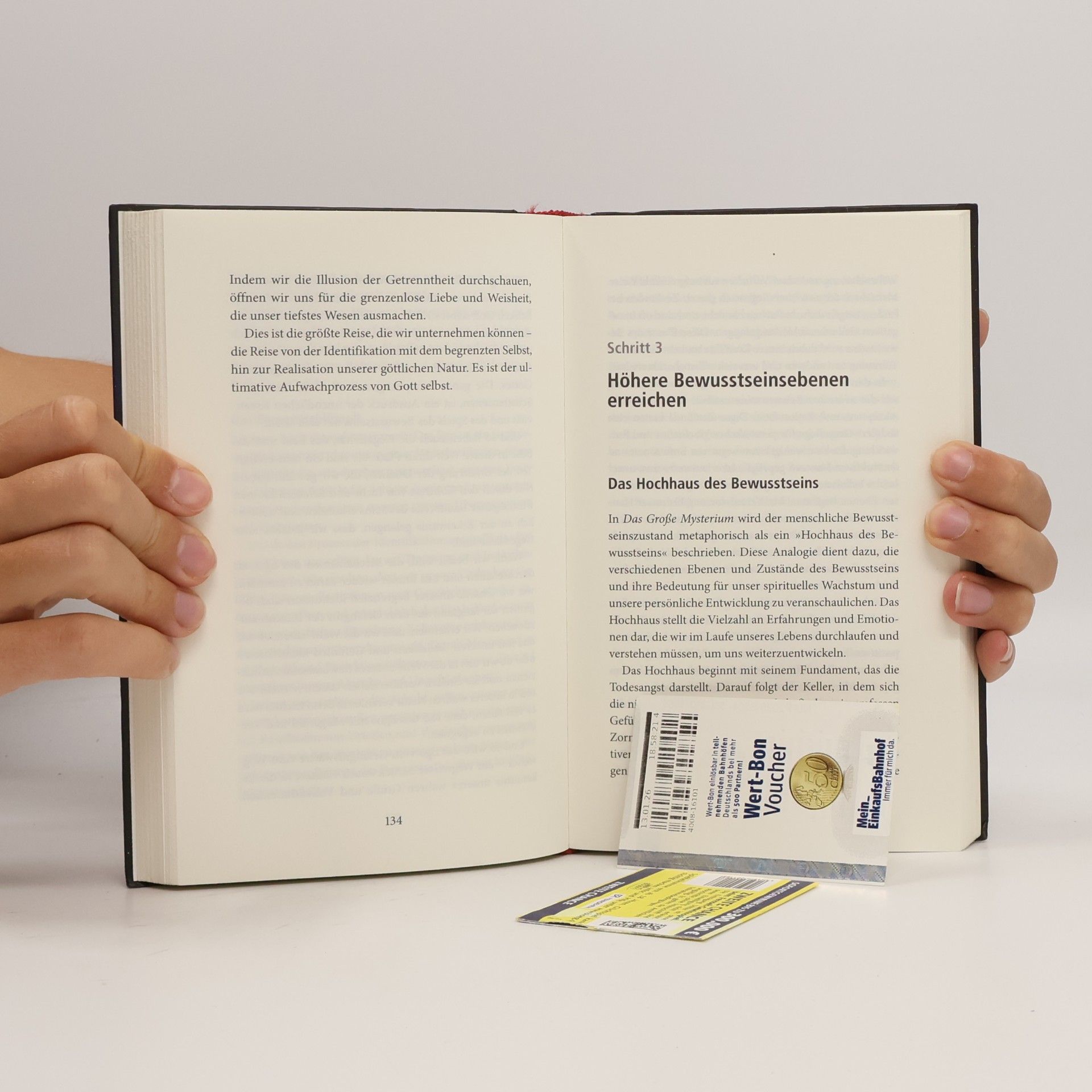 Marko C. Lorenz Das große Mysterium - Praxisbuch