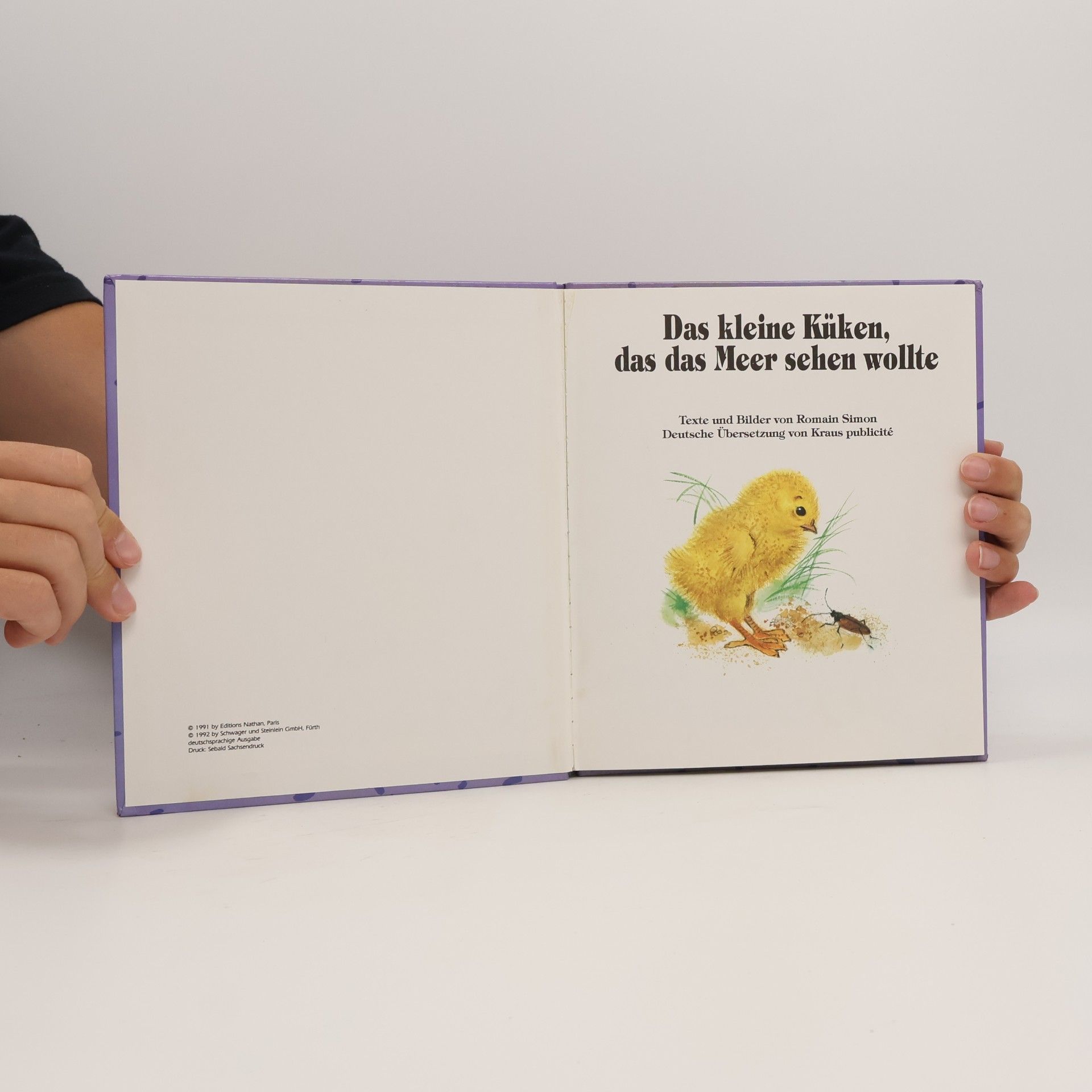 Romain Simon Das kleine Küken, das das Meer sehen wollte
