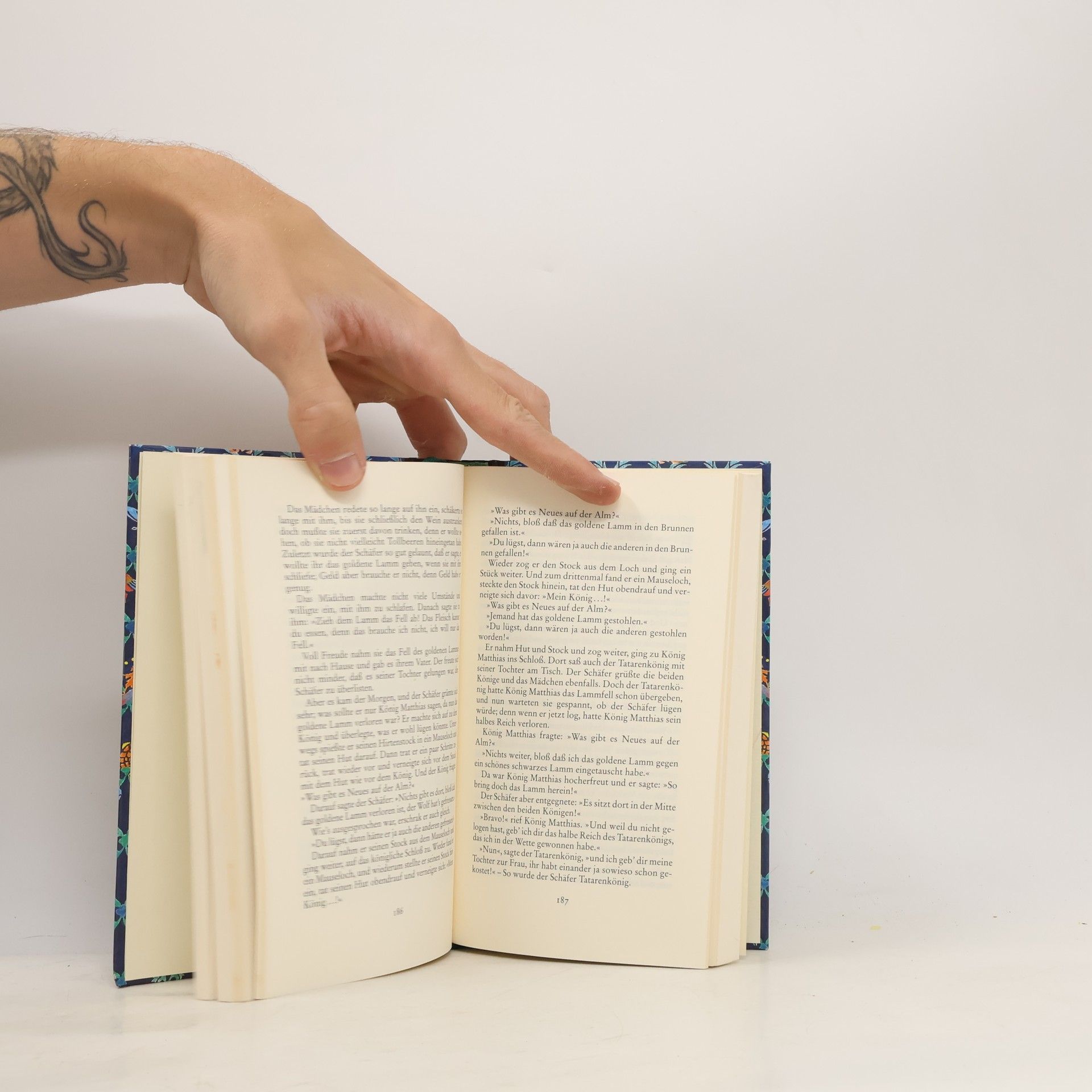Hans-Jörg Uther Die schönsten Märchen der Weltliteratur