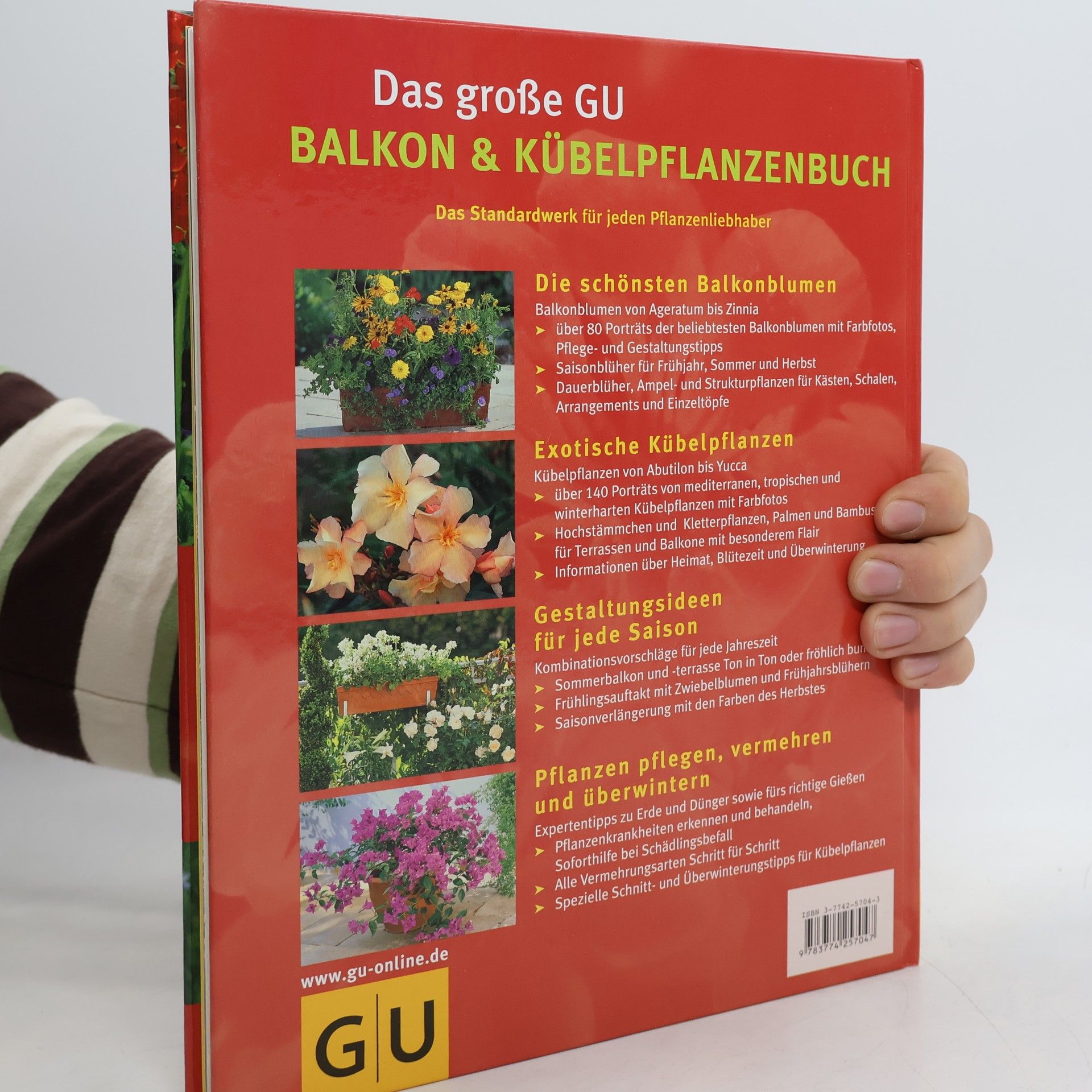 Halina Heitz Balkon und Kübelpflanzen