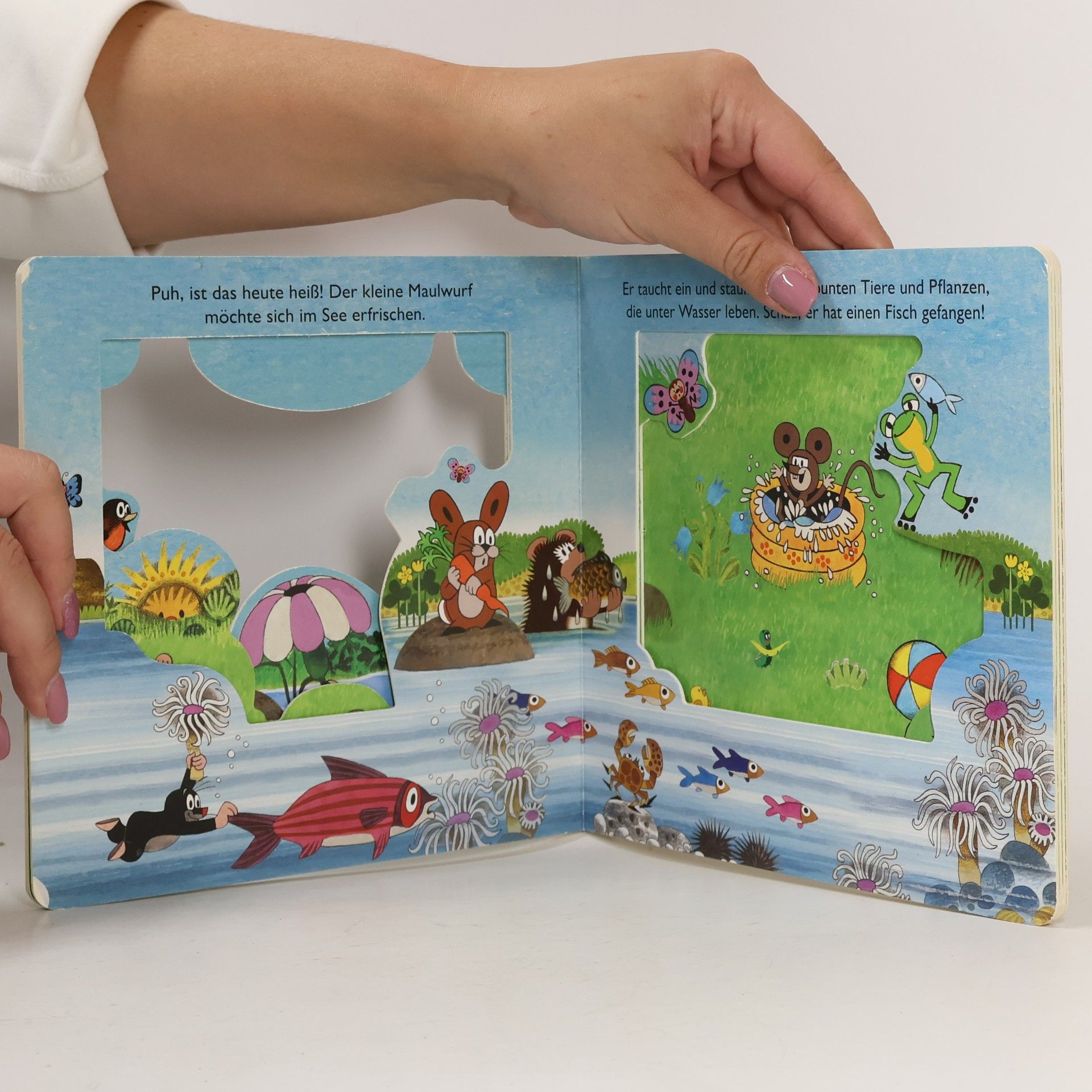 Zdeněk Miler Der kleine Maulwurf Fensterbuch