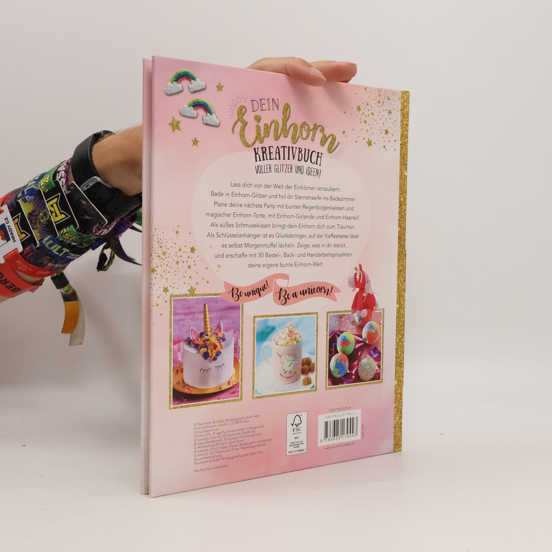 Autorenkollektiv Das grosse Einhorn Fanbuch
