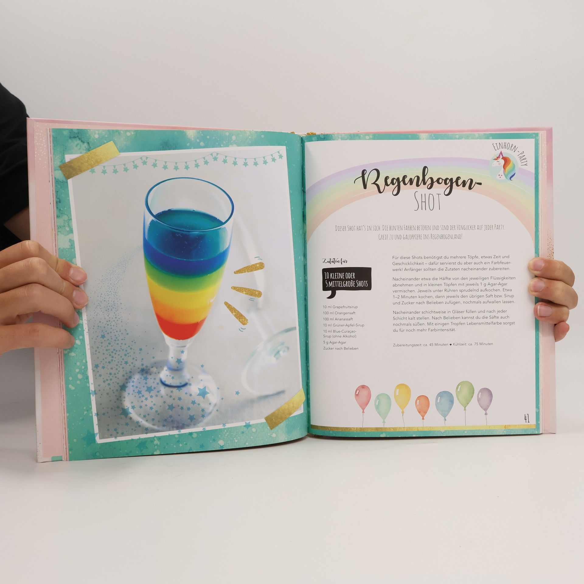 Autorenkollektiv Das grosse Einhorn Fanbuch