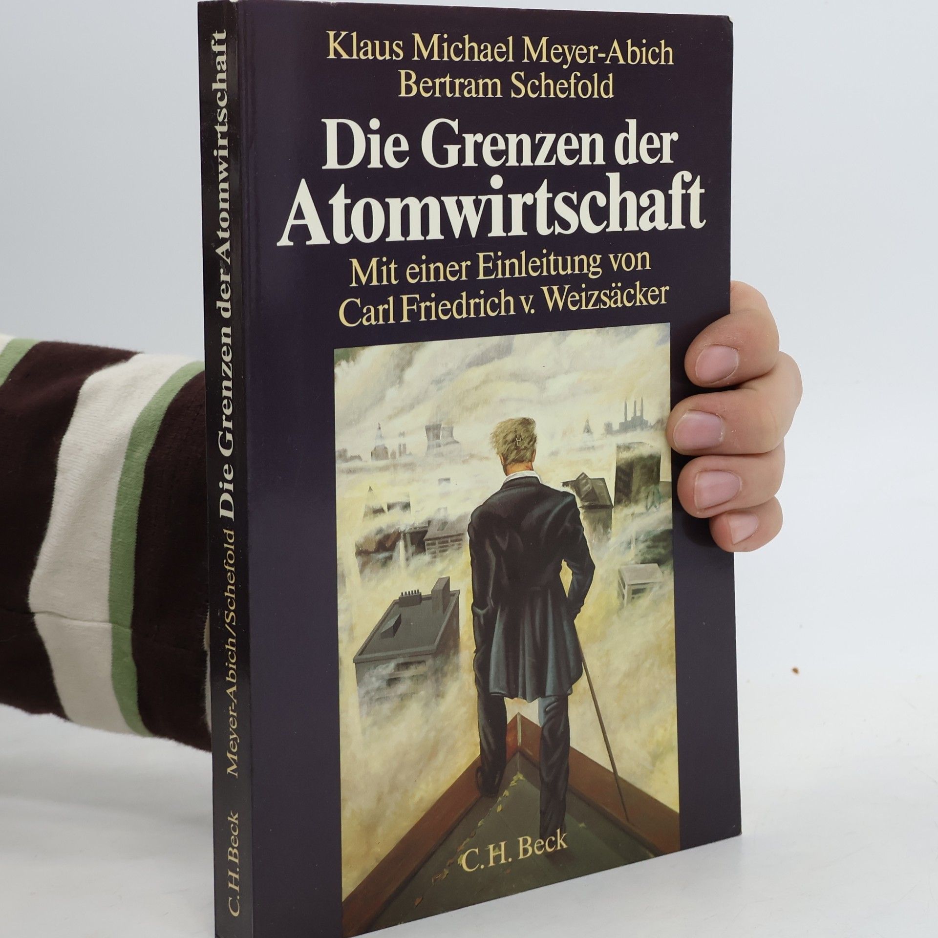 Die Grenzen der Atomwirtschaft
