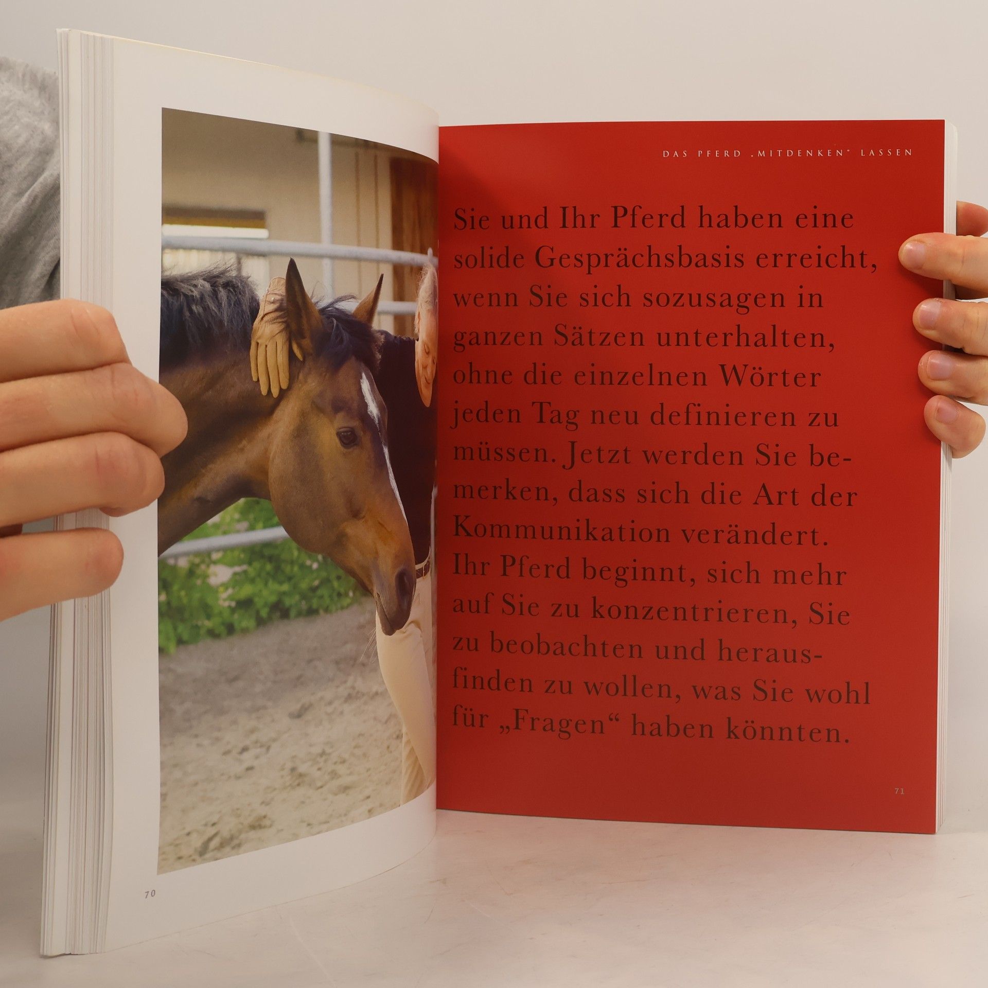 Christiane Schwahlen Natural Horsemanship und klassische Dressur