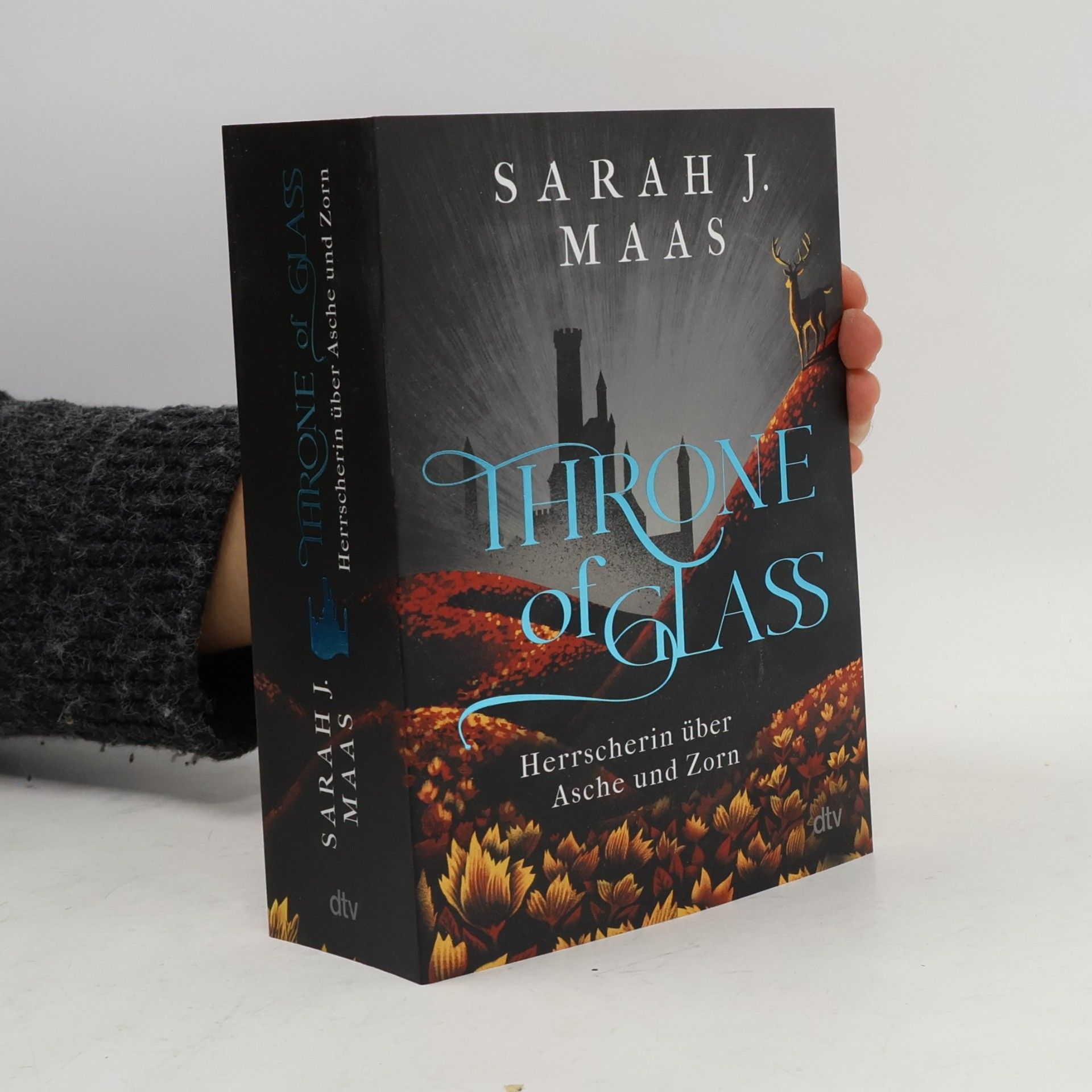 Sarah J. Maas Herrscherin über Asche und Zorn