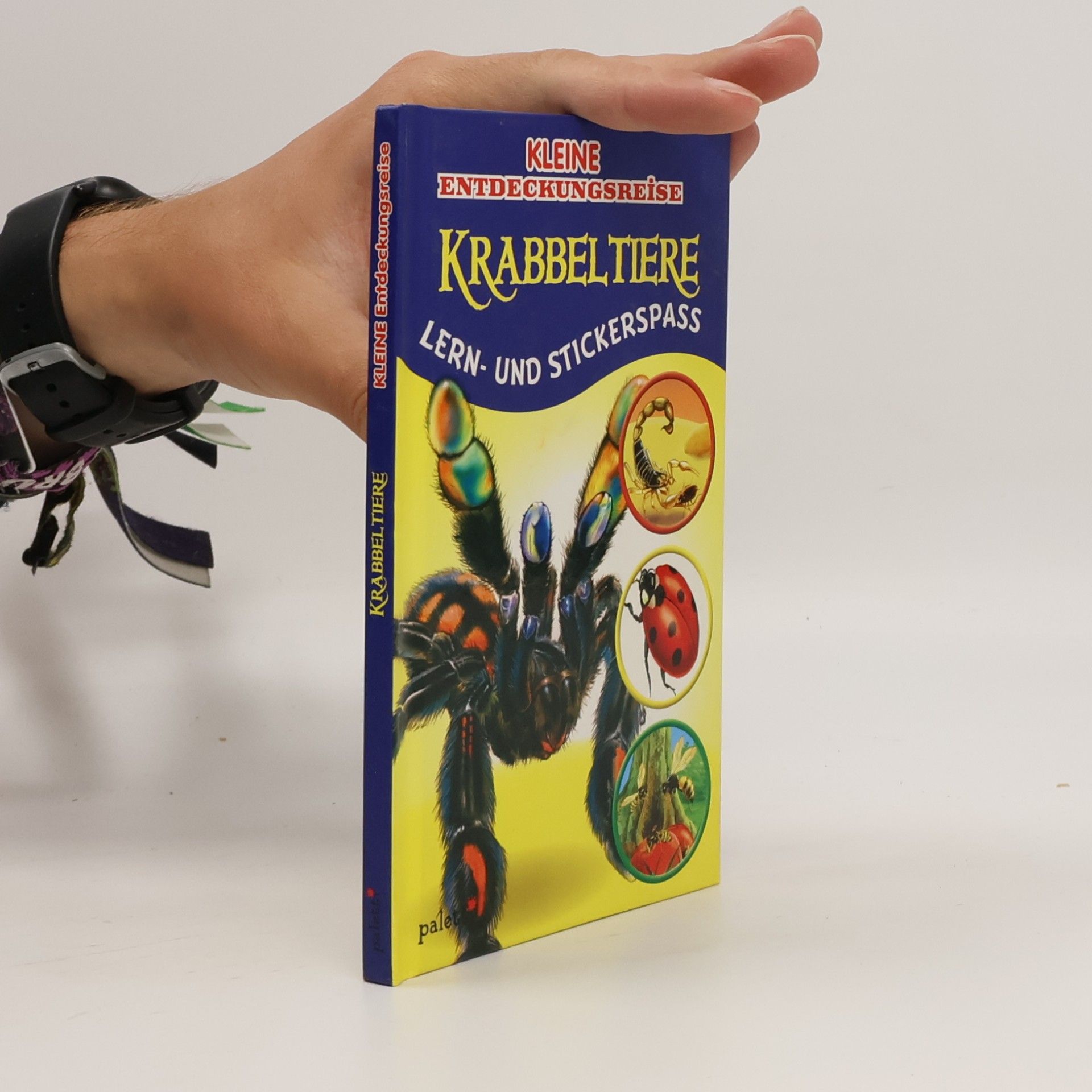 kolektiv Krabbeltiere