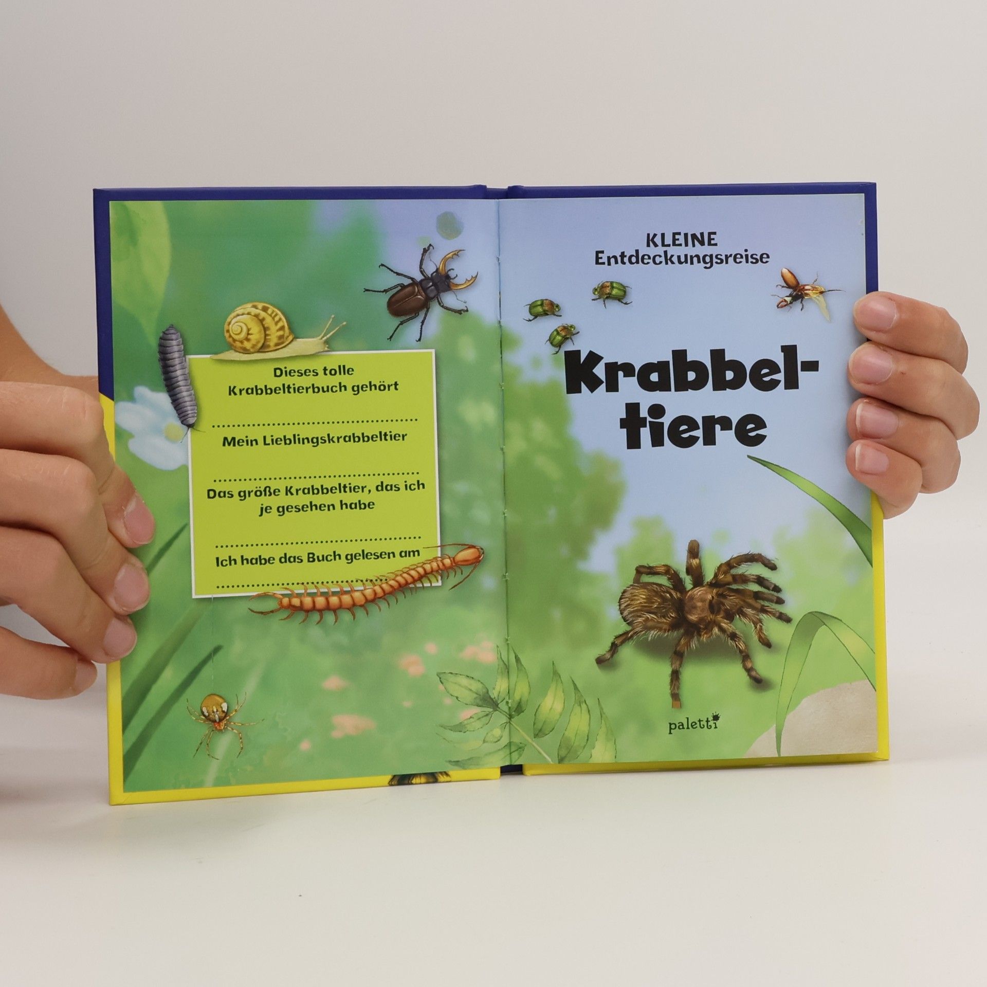 kolektiv Krabbeltiere