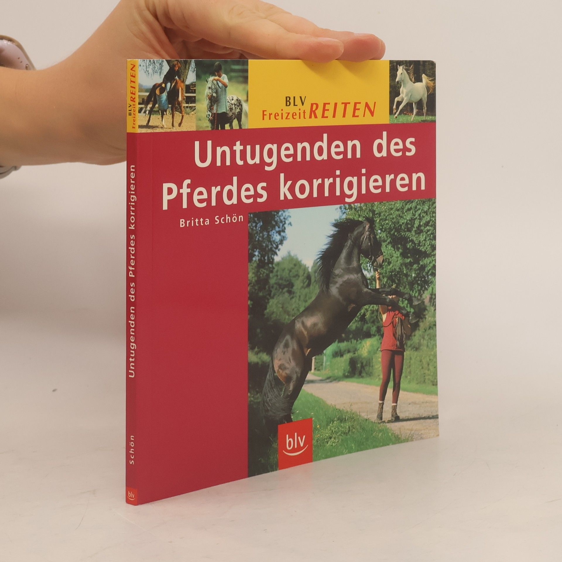 Untugenden des Pferdes korrigieren