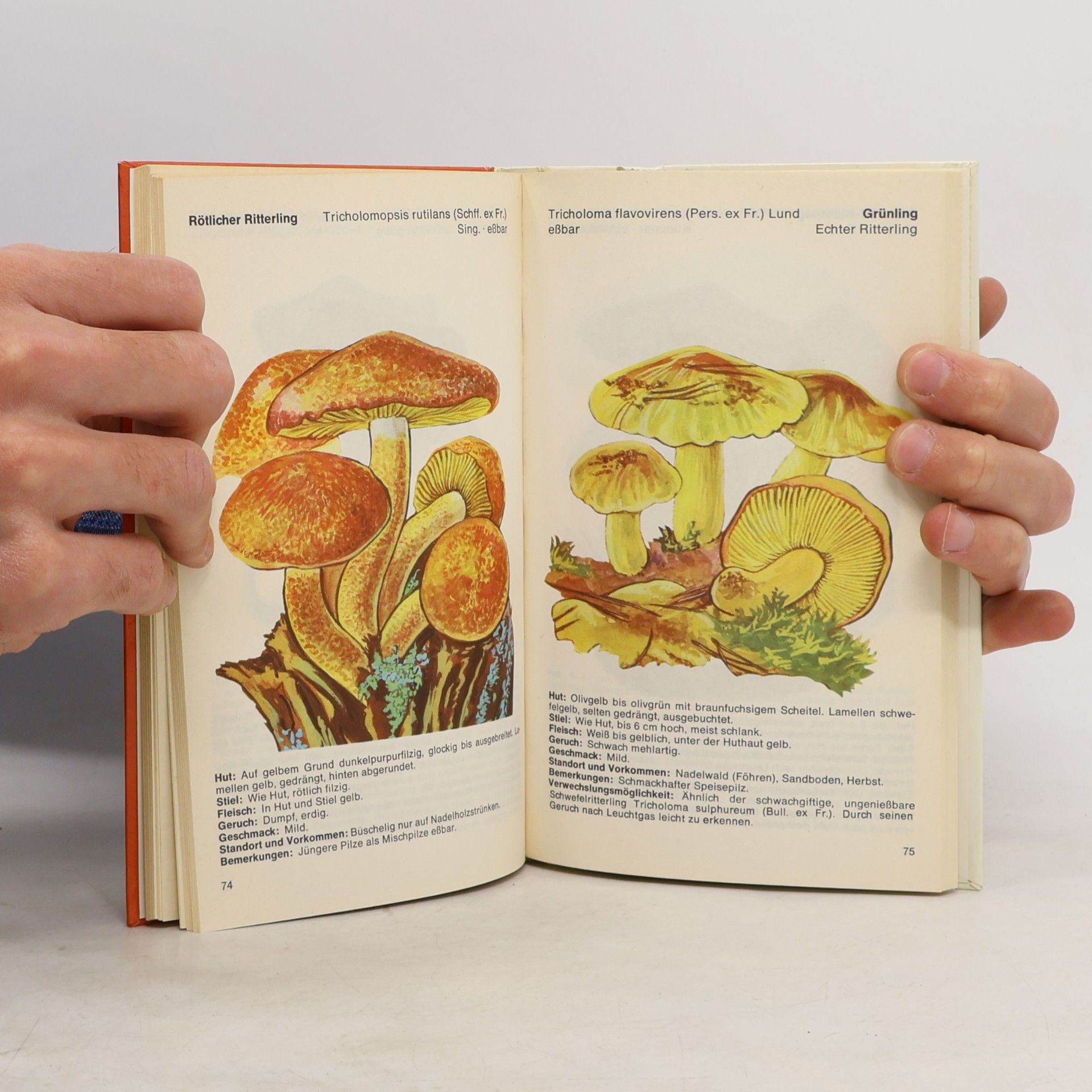 Karl Kronberger Das farbige Pilzbuch