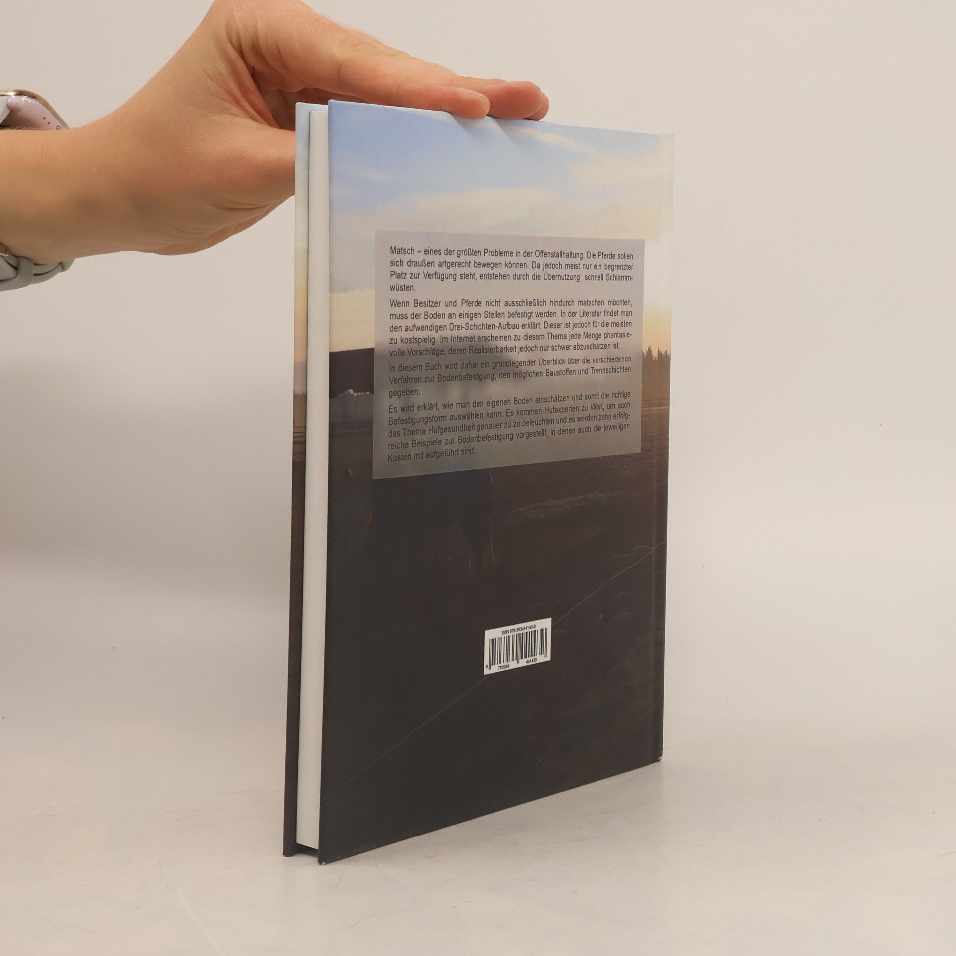Tanja Romanazzi Das Matsch-Buch für Pferdehalter