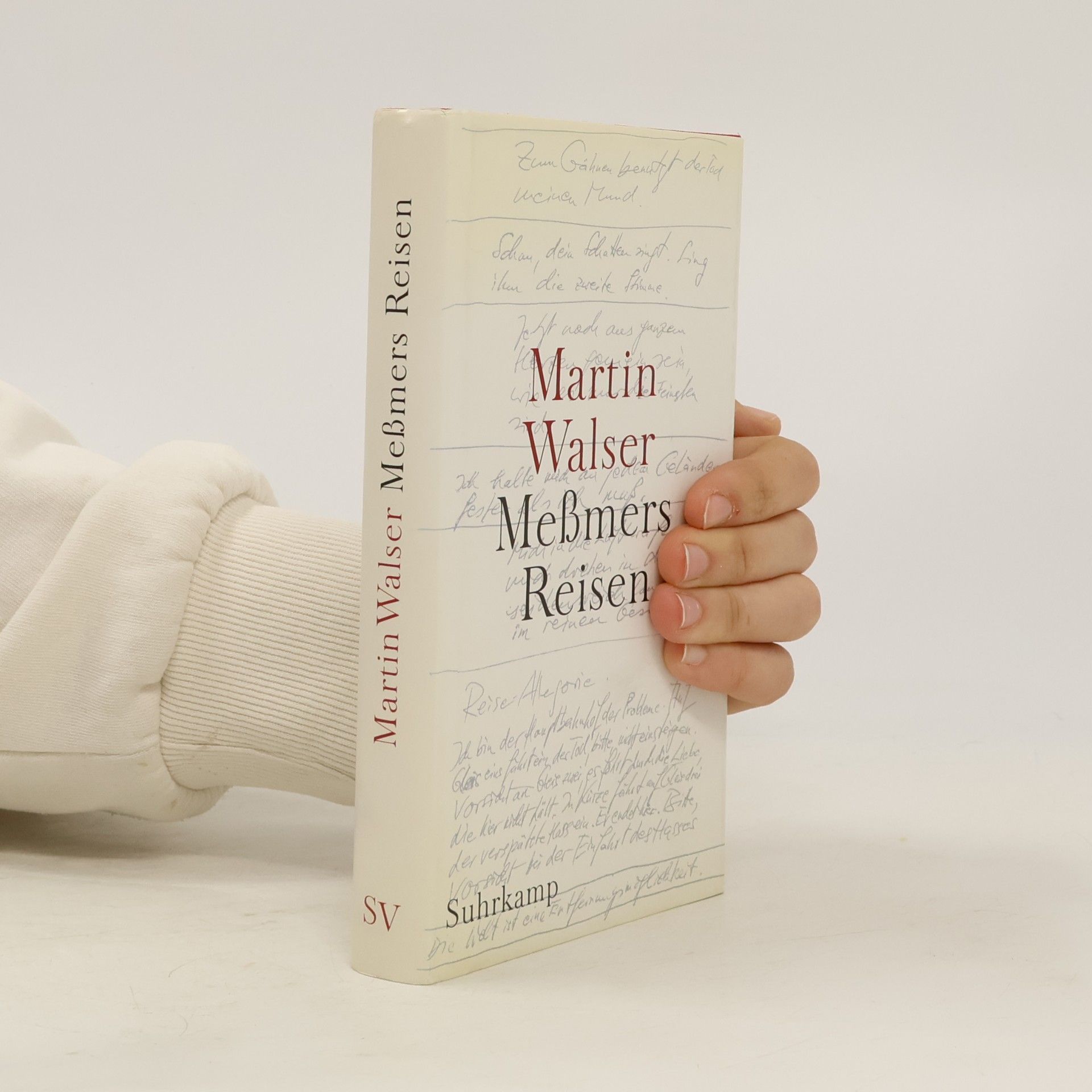 Martin Walser Meßmers Reisen
