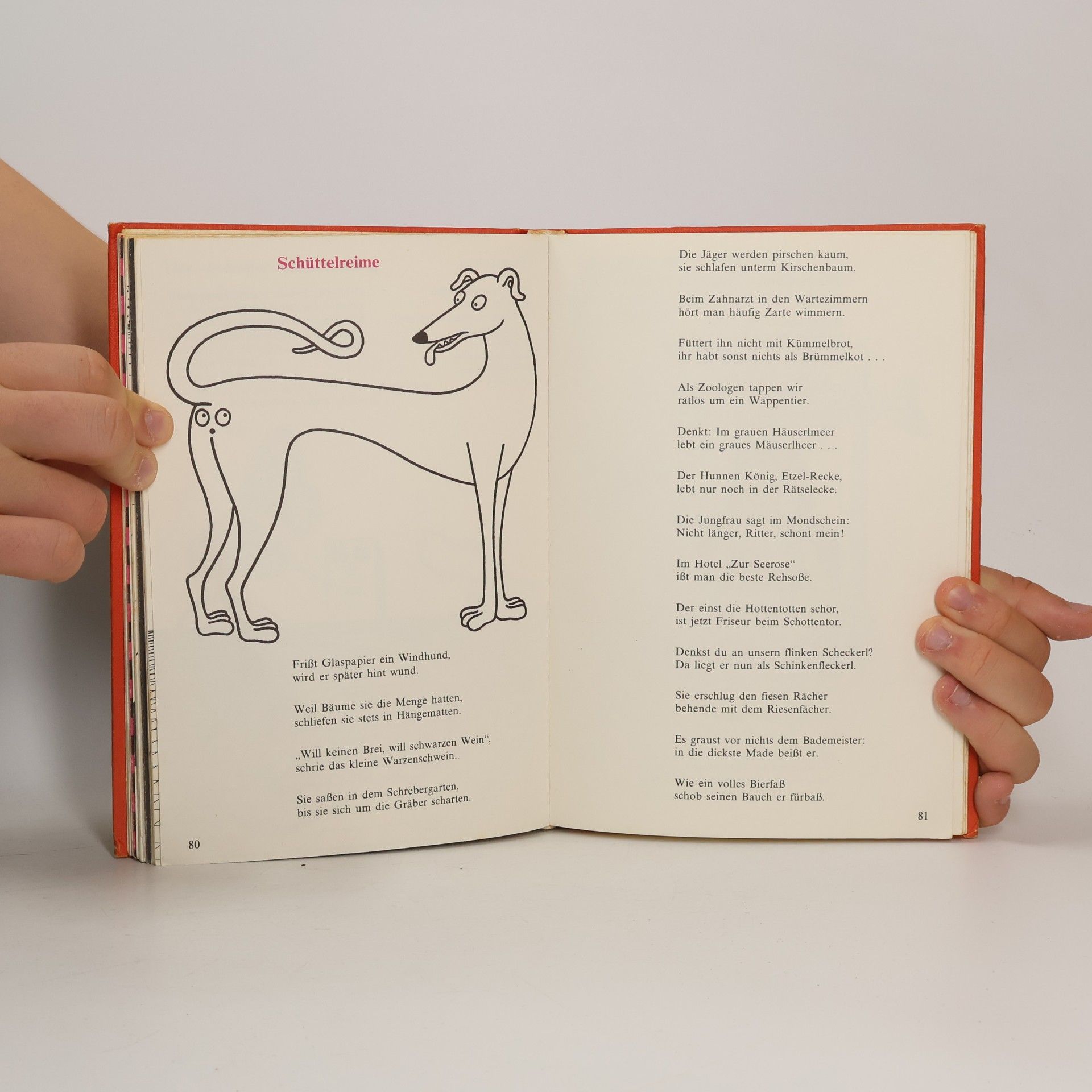 Gerri Zotter Das Sprachbastelbuch.