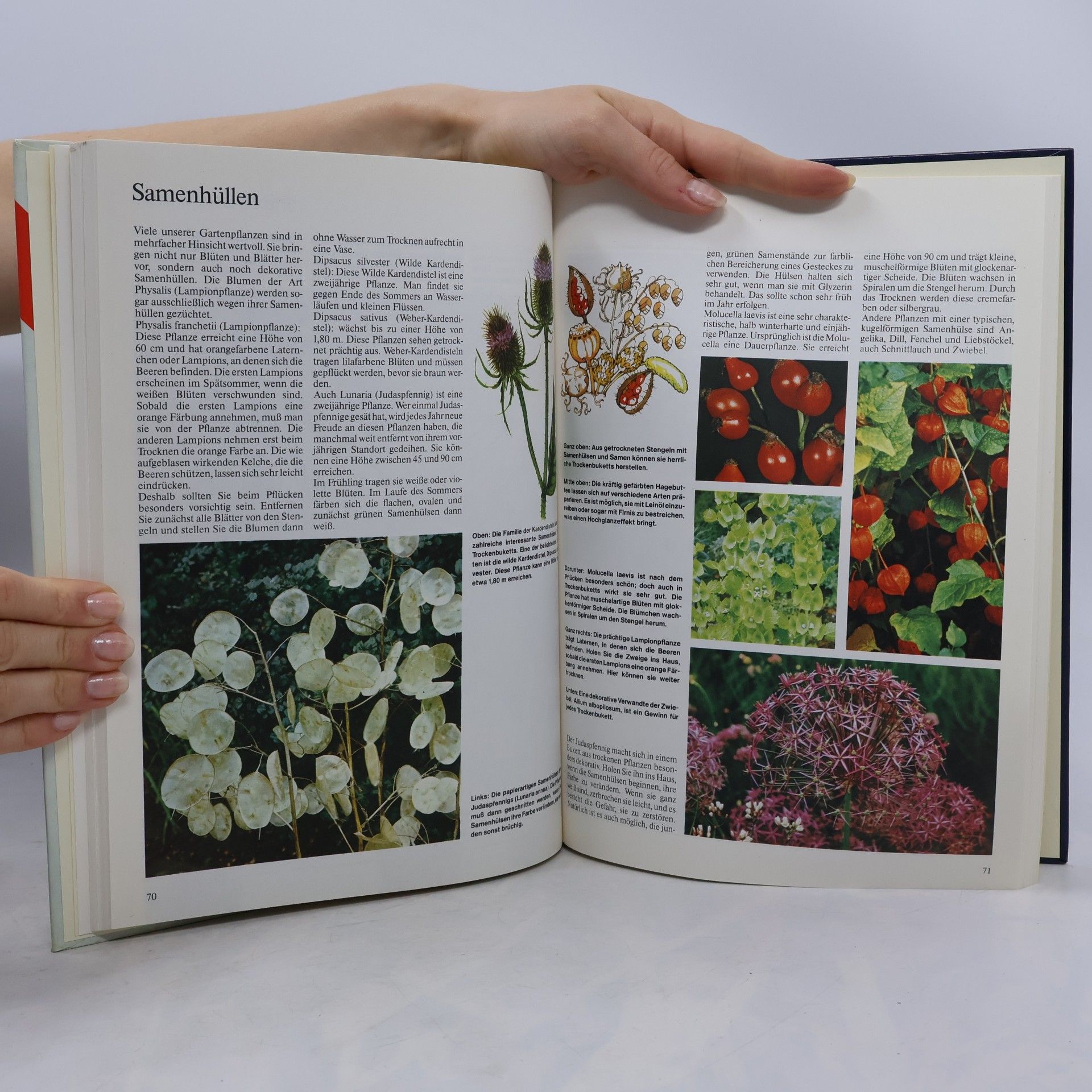 Katharina Kaspers Blumen, Blüten, Gräser
