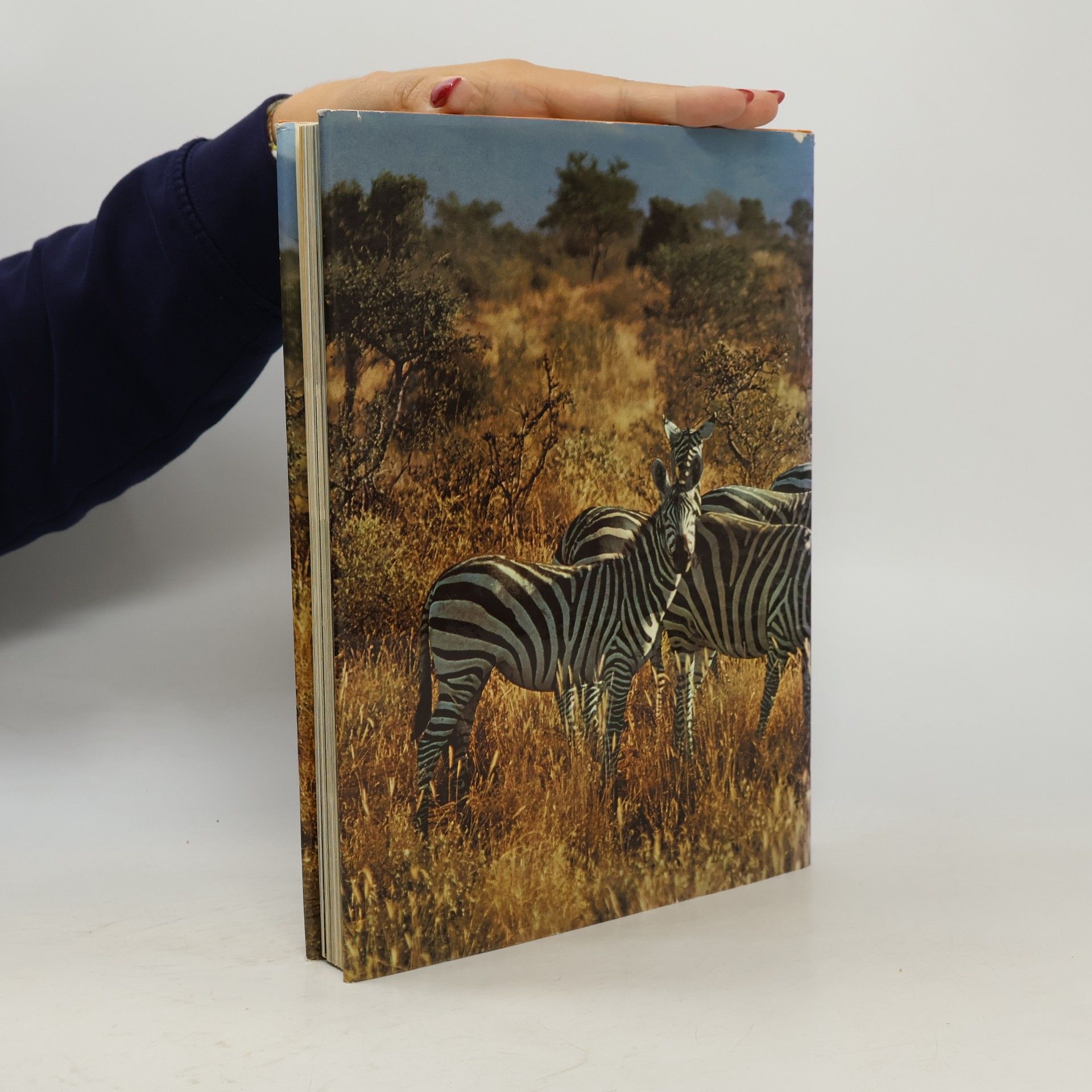 Gunter Steinbach Wunderwelt der Tiere