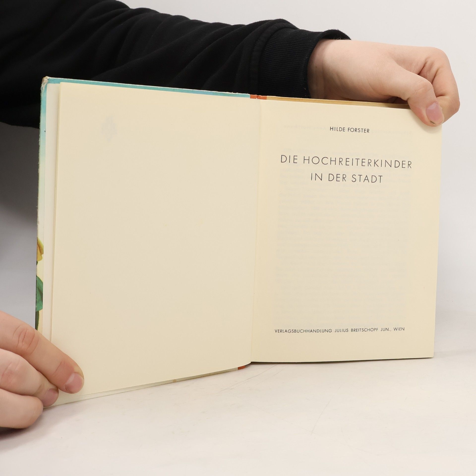 Hilde Forster Die Hochreiter-Kinder in der Stadt