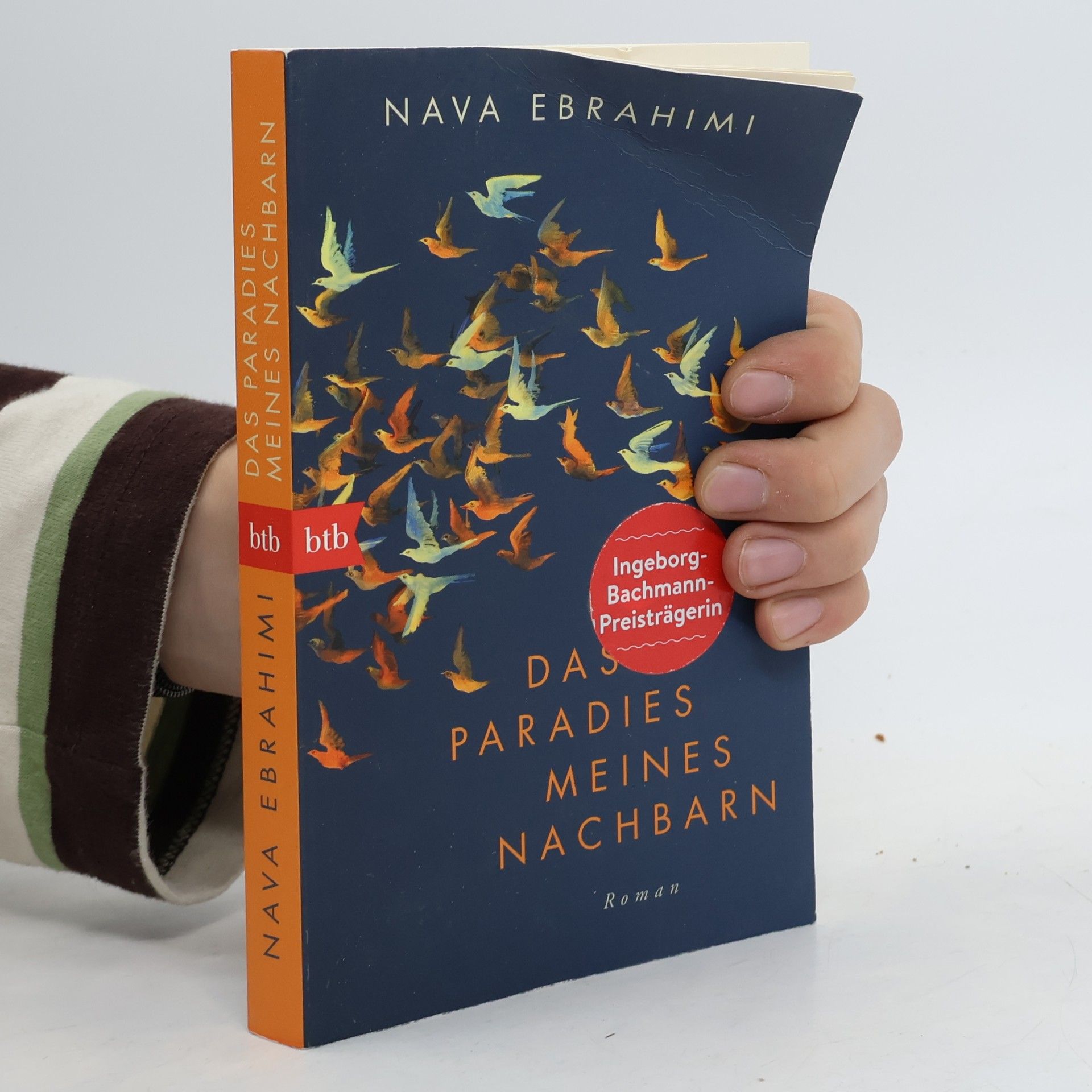 Nava Ebrahimi Das Paradies meines Nachbarn