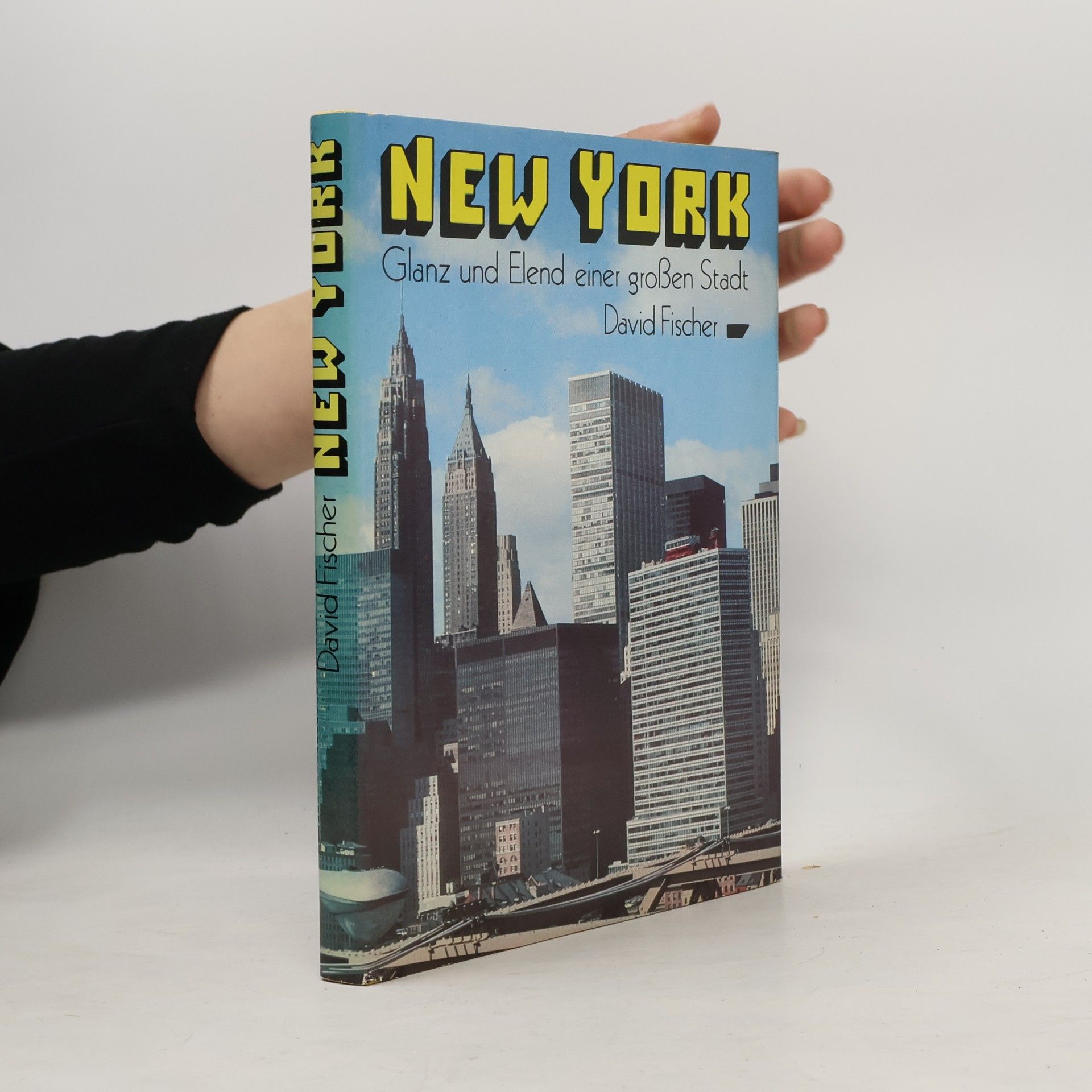 David Hackett Fischer New York : Glanz und Elend einer großen Stadt