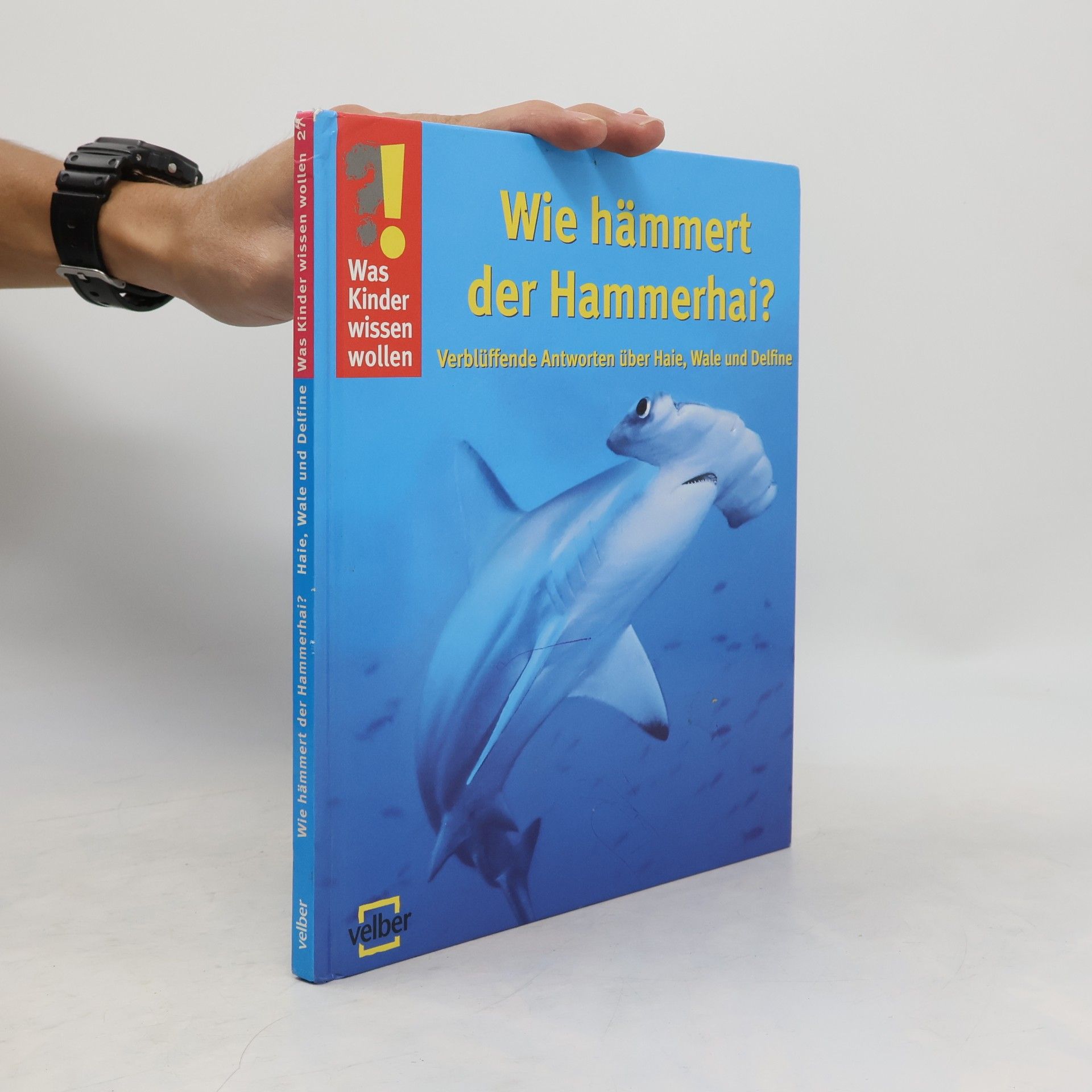 Ulrike Berger Wie hämmert der Hammerhai?
