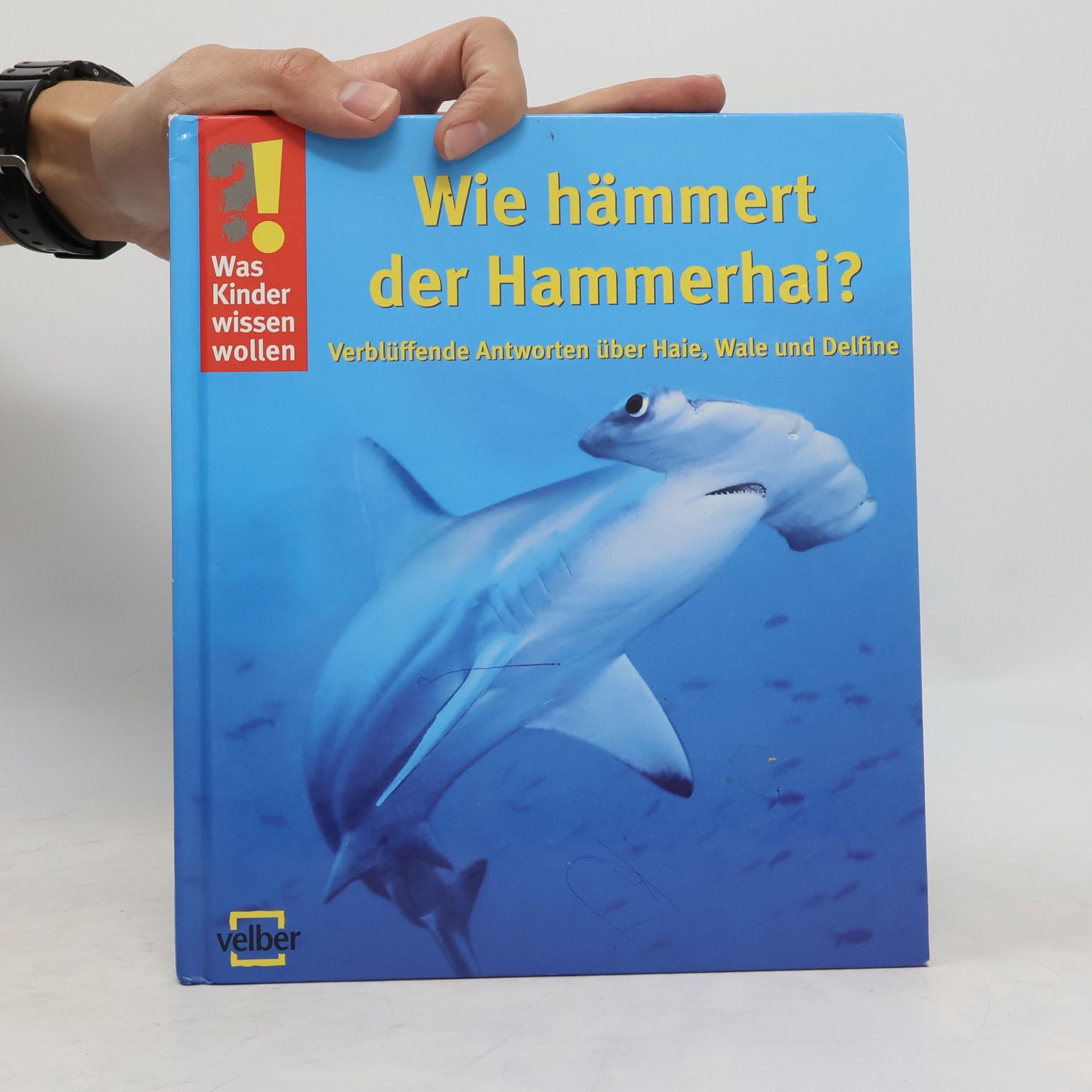 Ulrike Berger Wie hämmert der Hammerhai?