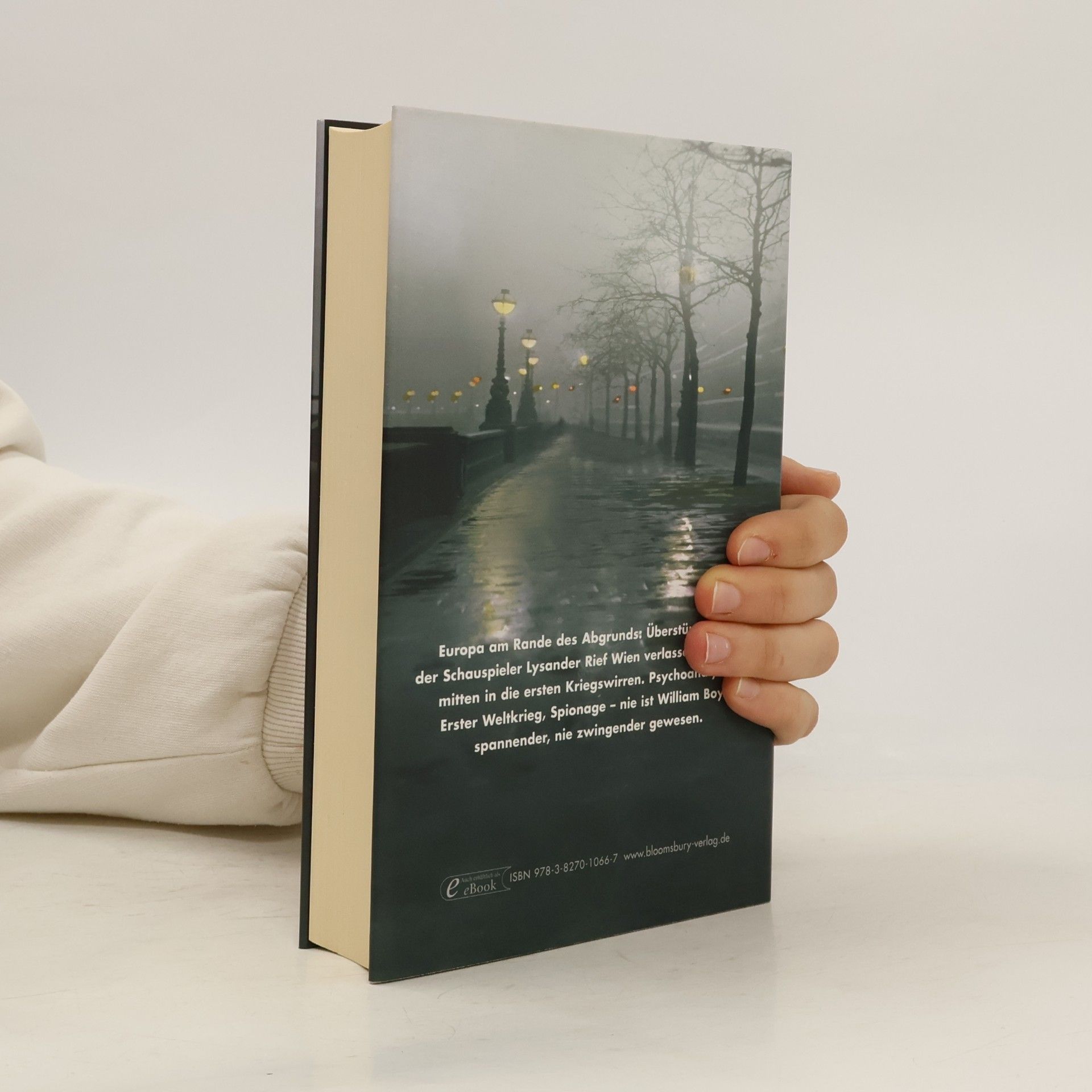 William Boyd Eine Grosse zeit