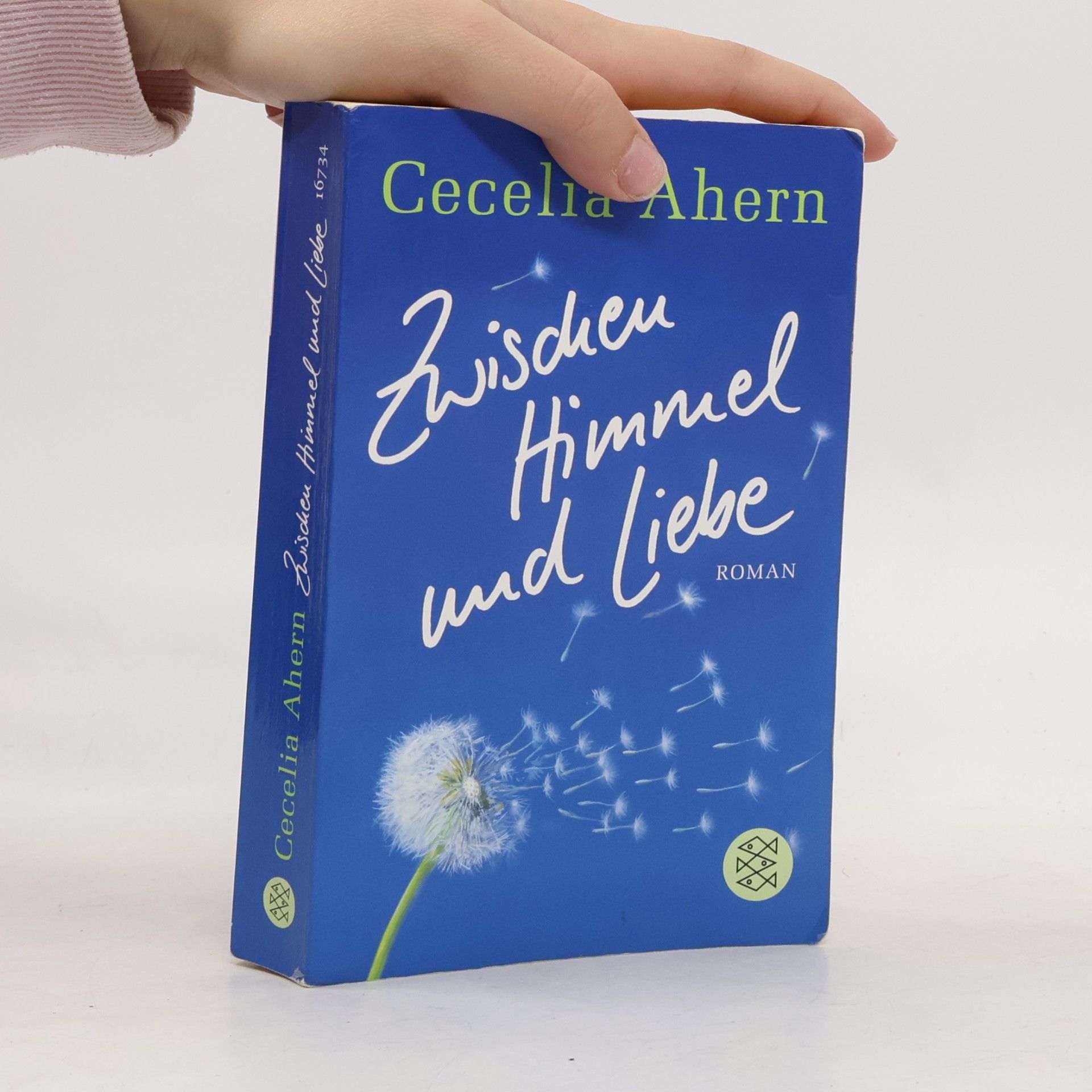 Cecelia Ahern Zwischen Himmel und Liebe