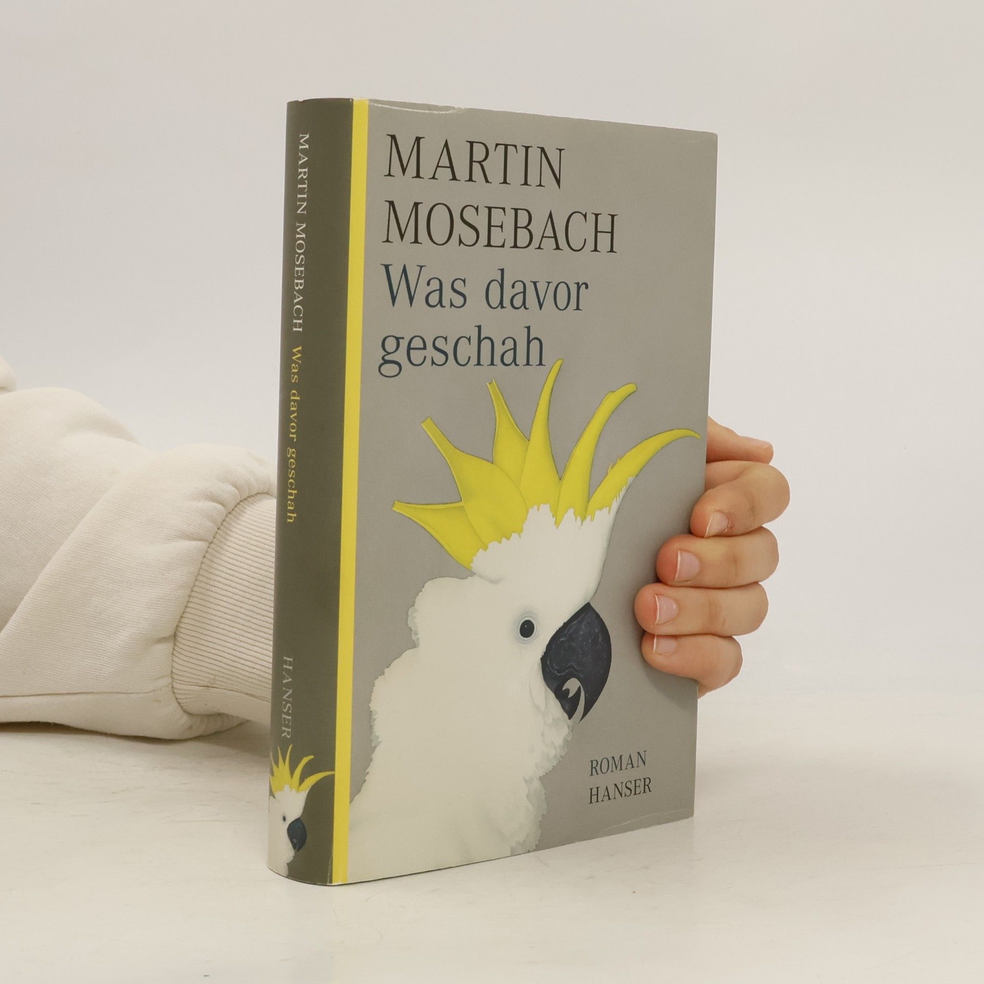 Martin Mosebach Was davor geschah