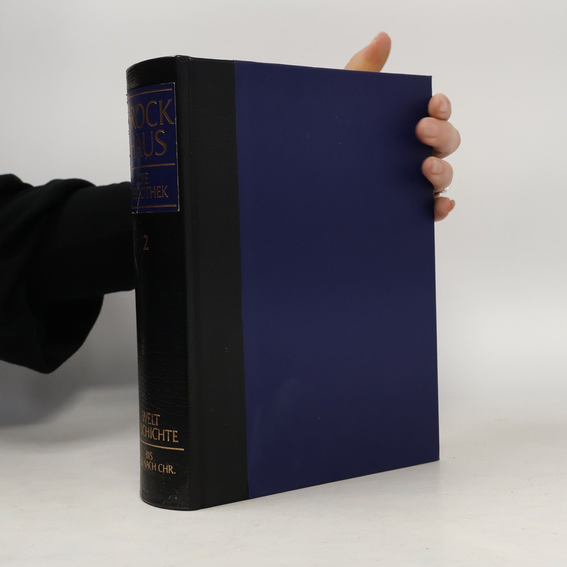 F. A. Brockhaus Brockhaus. Weltgeschichte 2