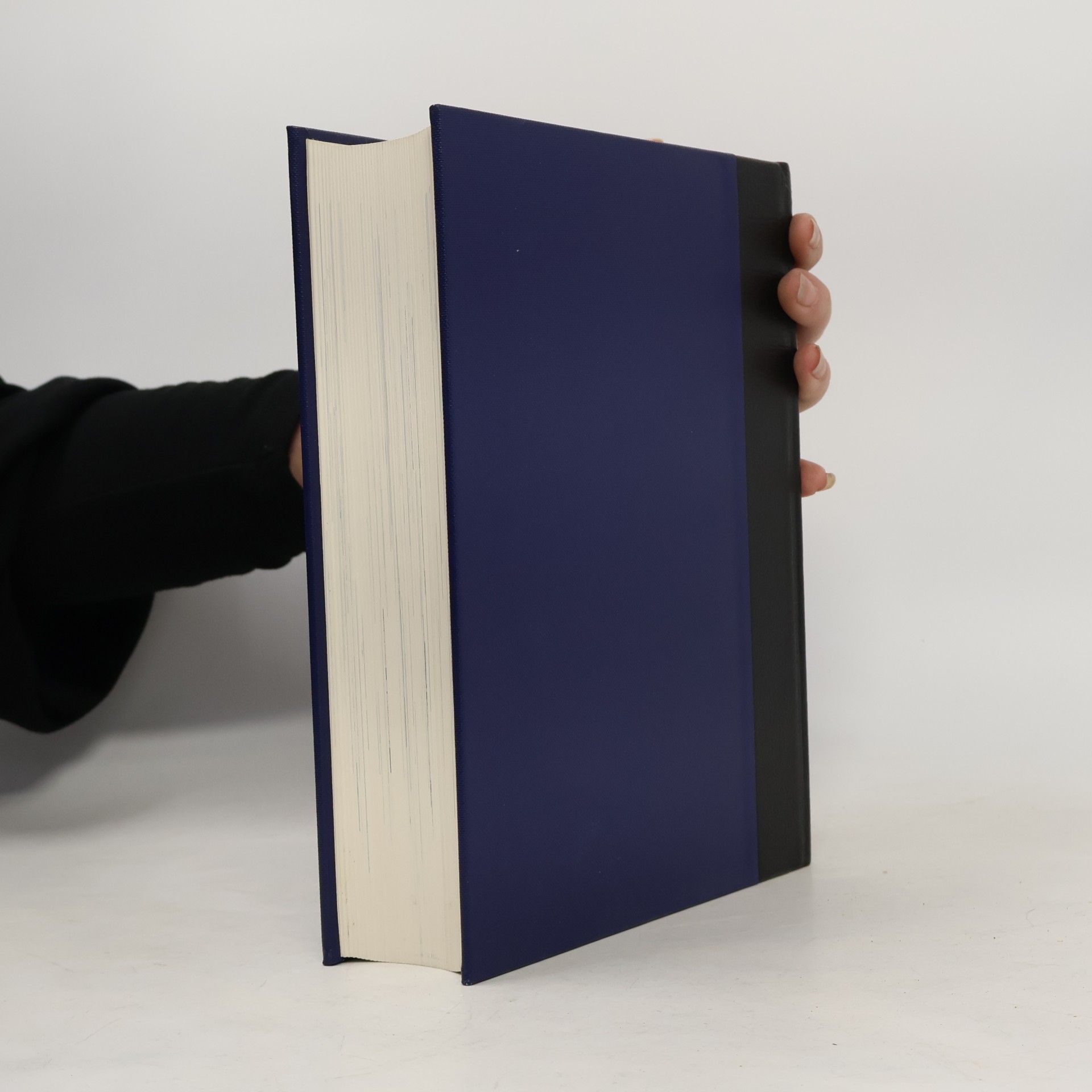 F. A. Brockhaus Brockhaus. Weltgeschichte 2