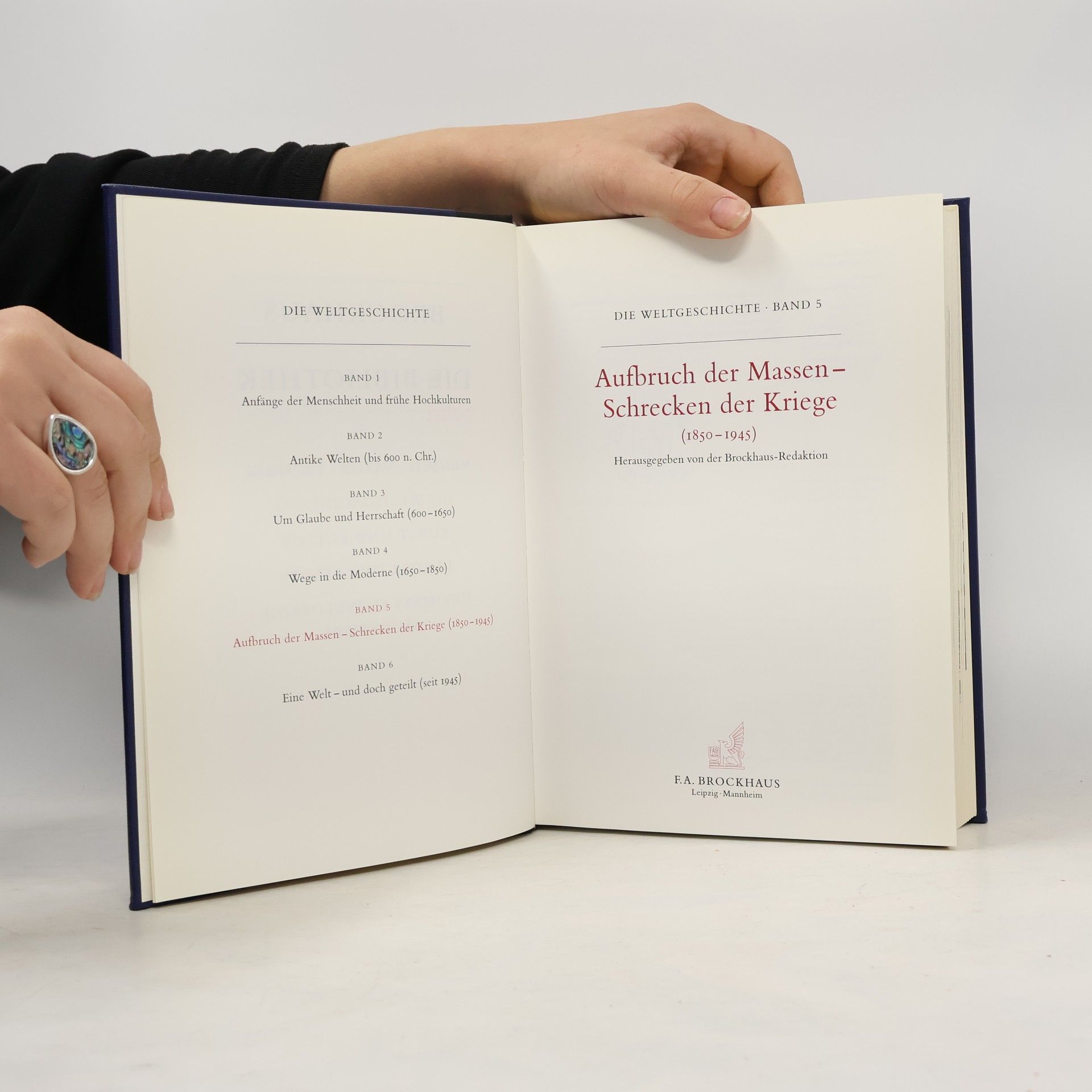 Mathias Münter-Elfner Brockhaus Weltgeschichte