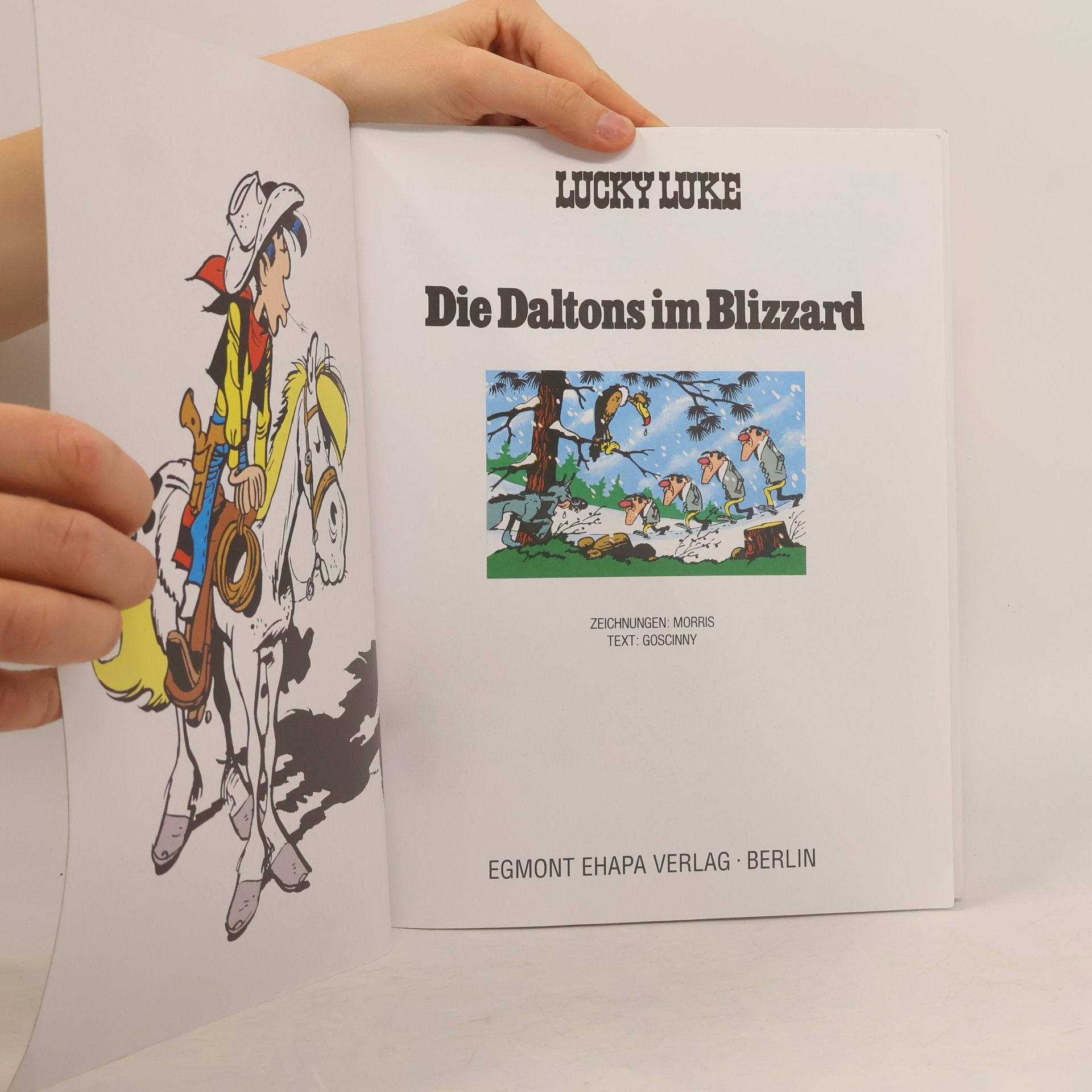 René Goscinny Lucky Luke. Die Daltons im Bizzard