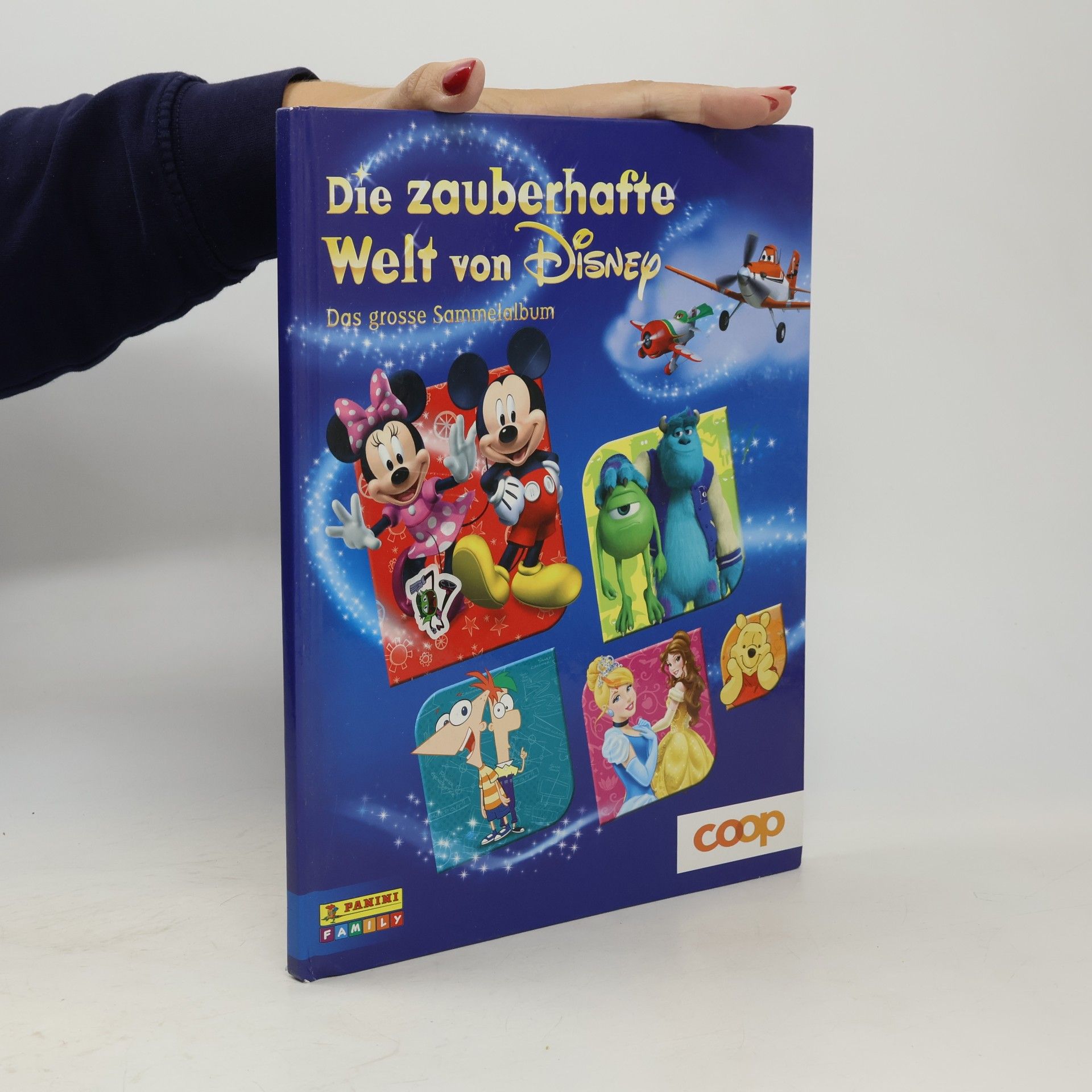 kolektiv Die zauberhafte Welt von Disney