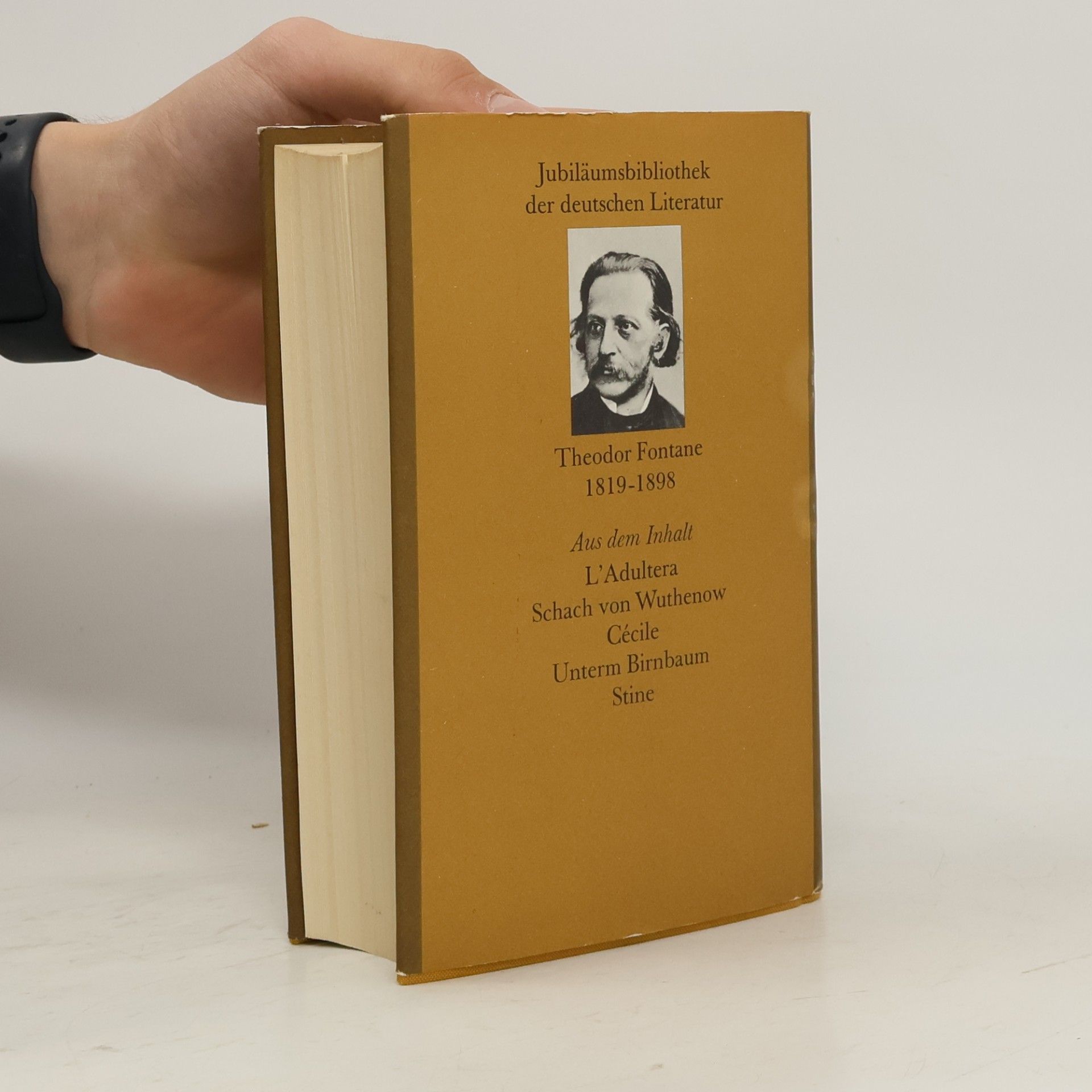 Theodor Fontane Fontane Werke II.