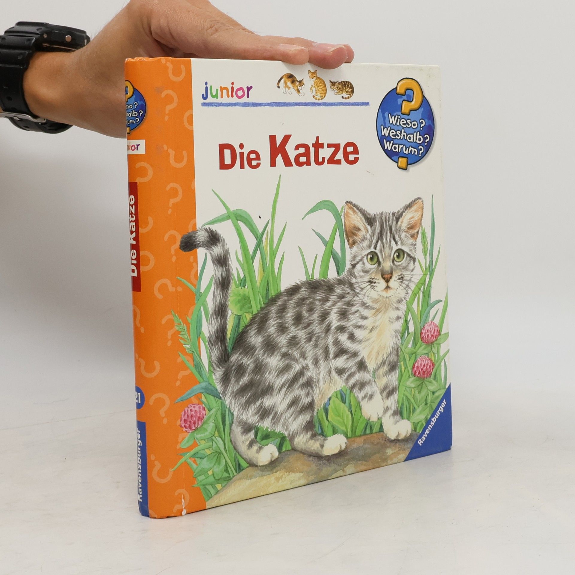 Ursula Weller Die Katze