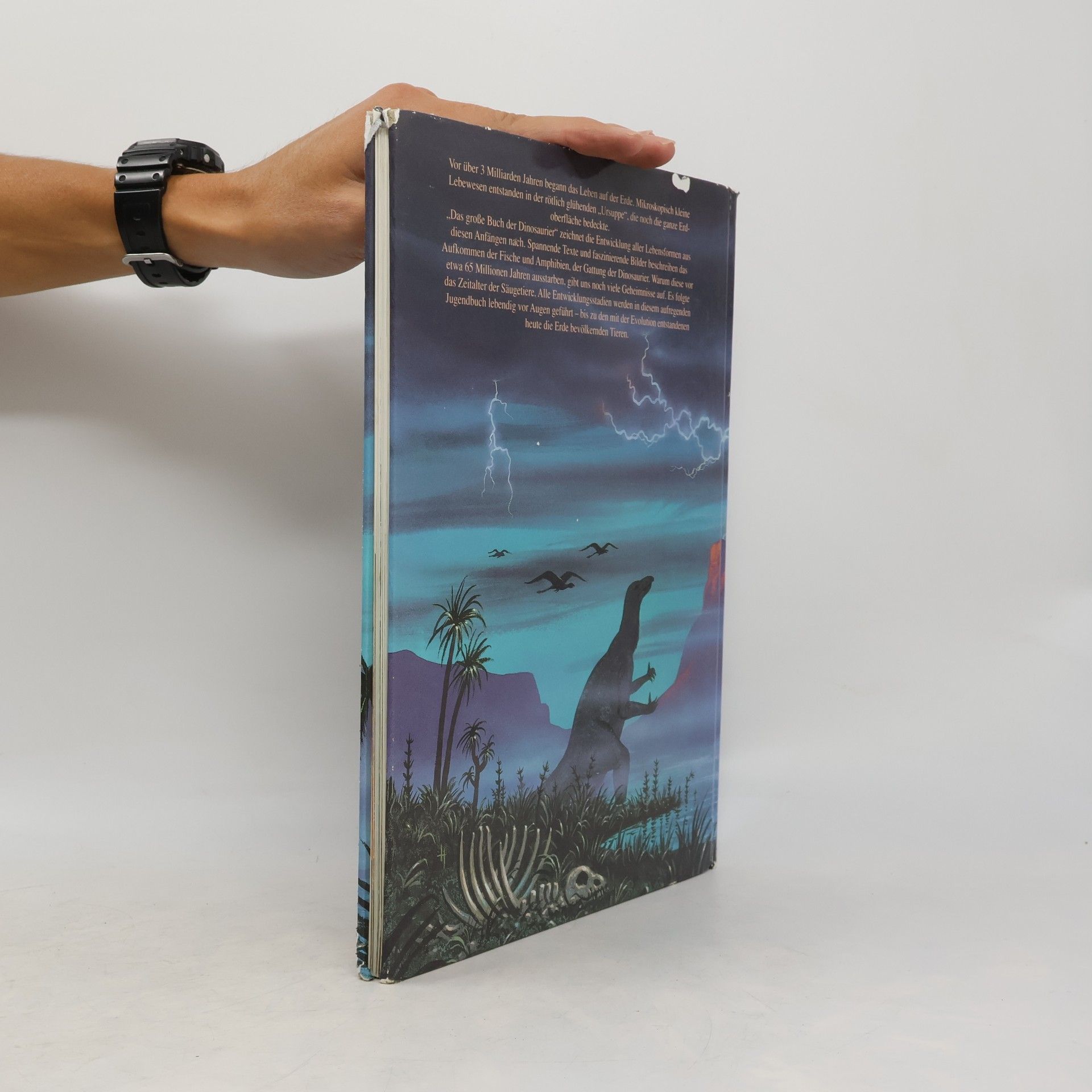 Stephen Attmore Das große Buch der Dinosaurier