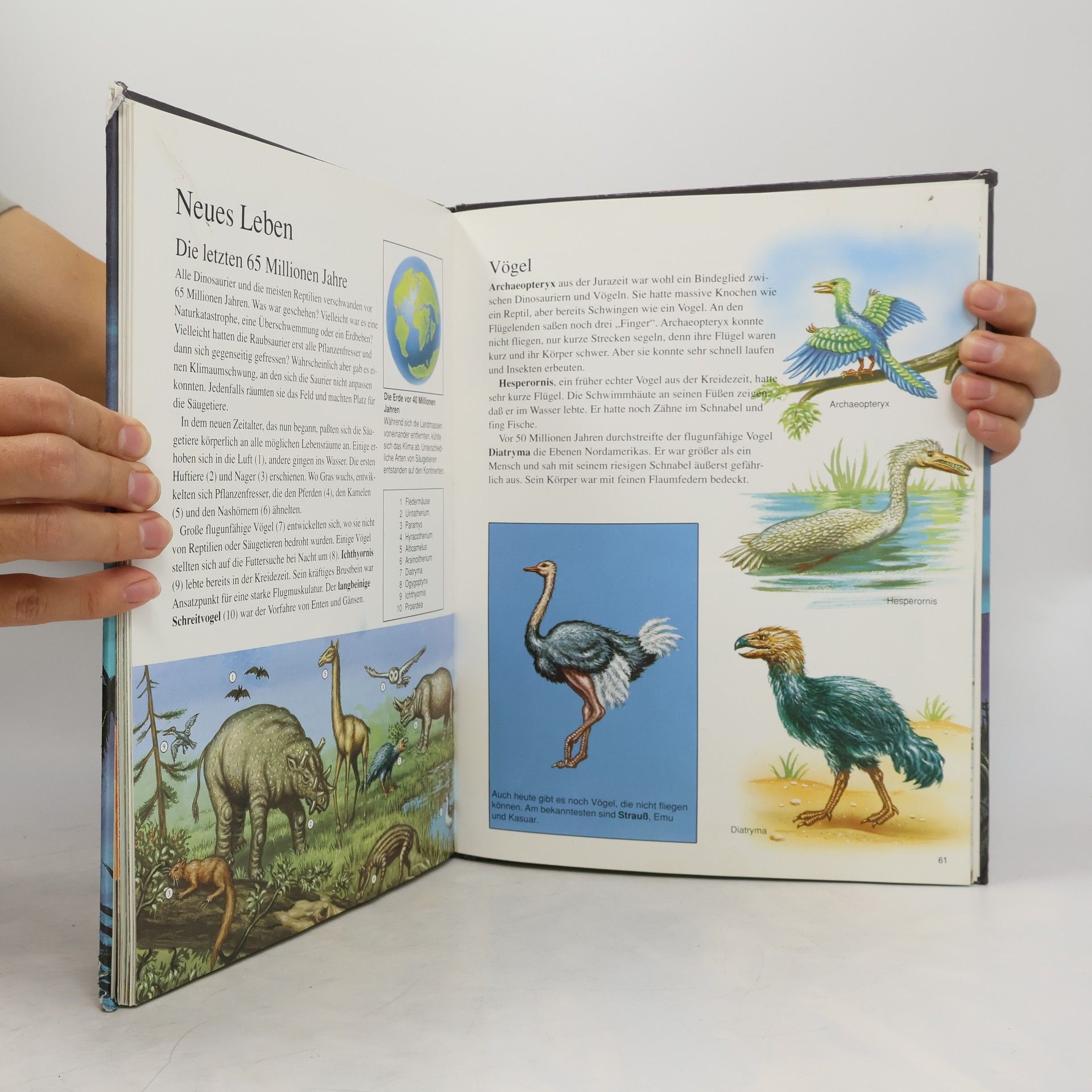 Stephen Attmore Das große Buch der Dinosaurier
