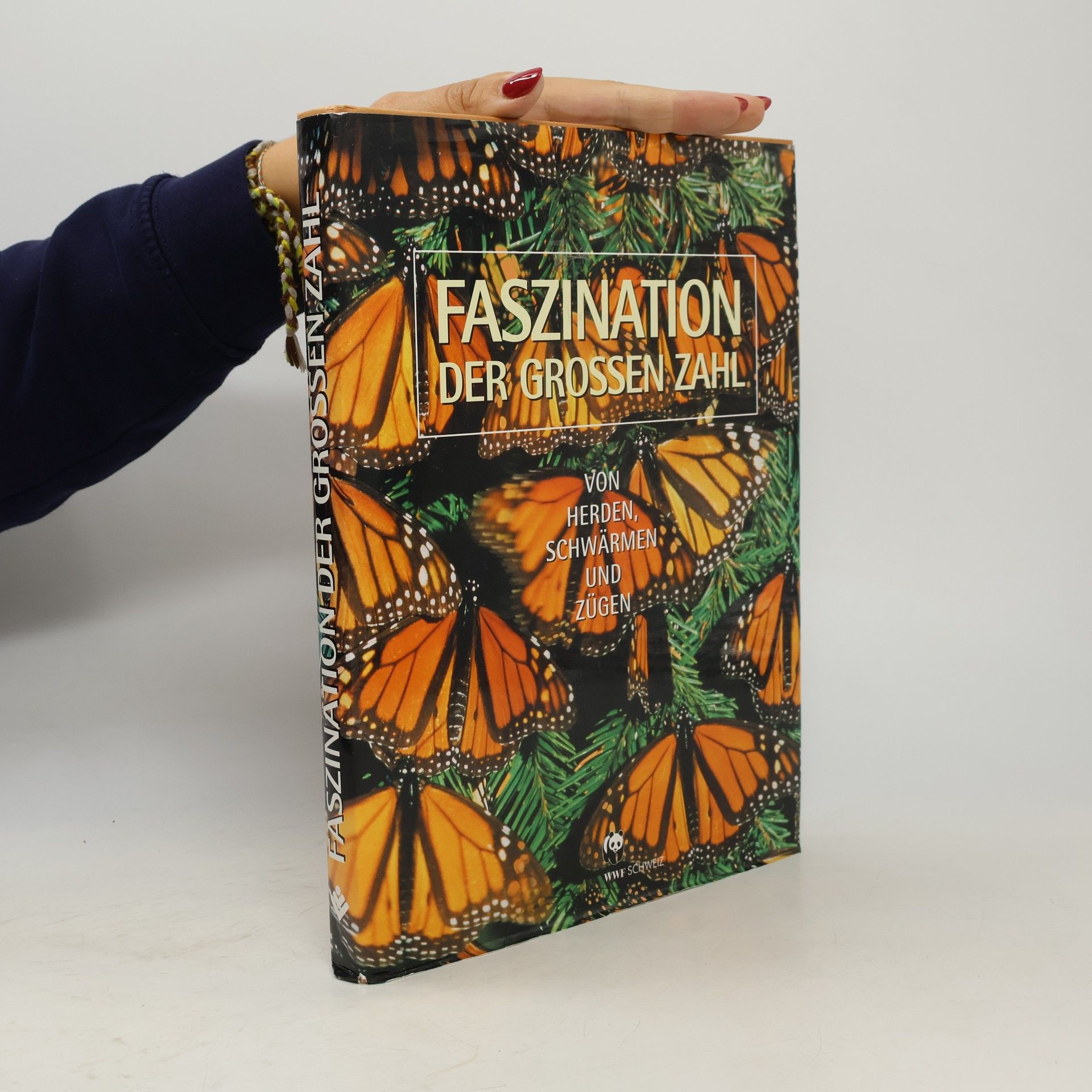 Autorenkollektiv Faszination der grossen Zahl