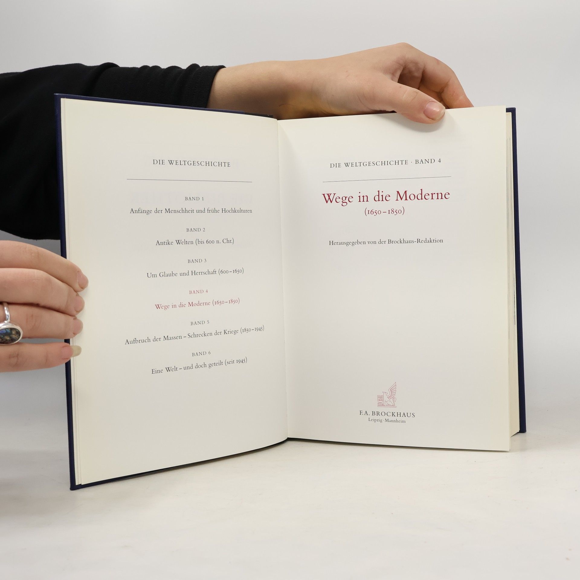 Autorenkollektiv Brockhaus - die Bibliothek 4