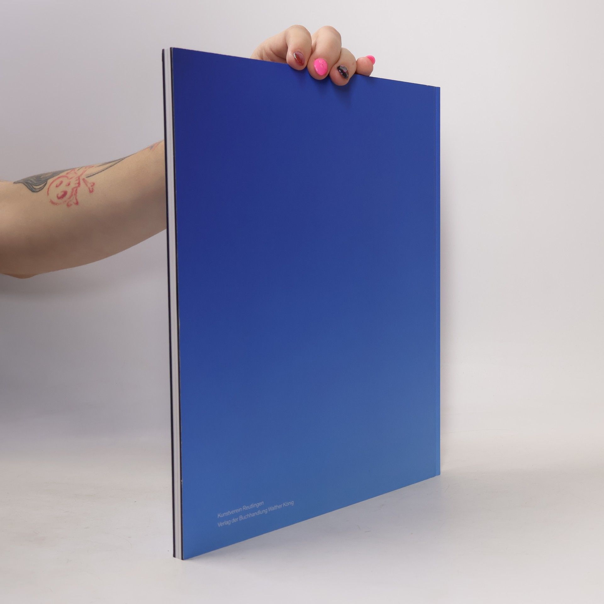 Tamina Amadyar Big Blue Sky