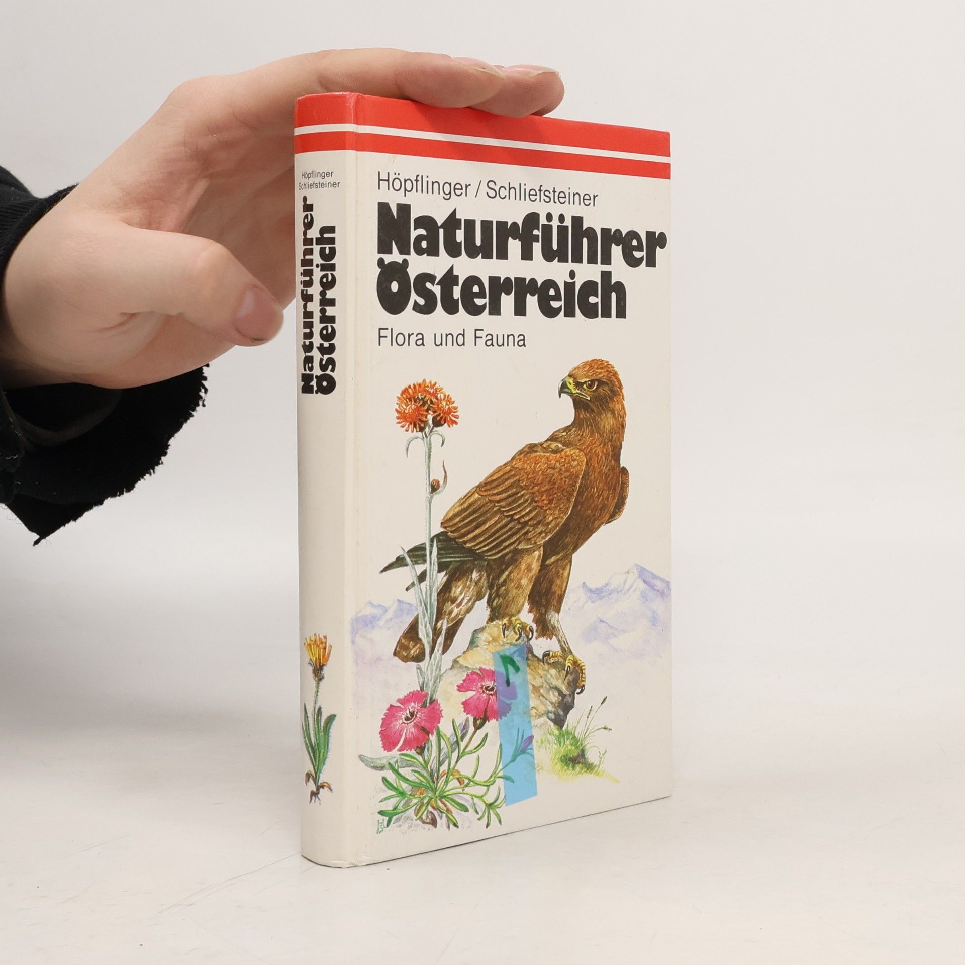Kolektiv autorů Naturführer Österreich. Flora und Fauna