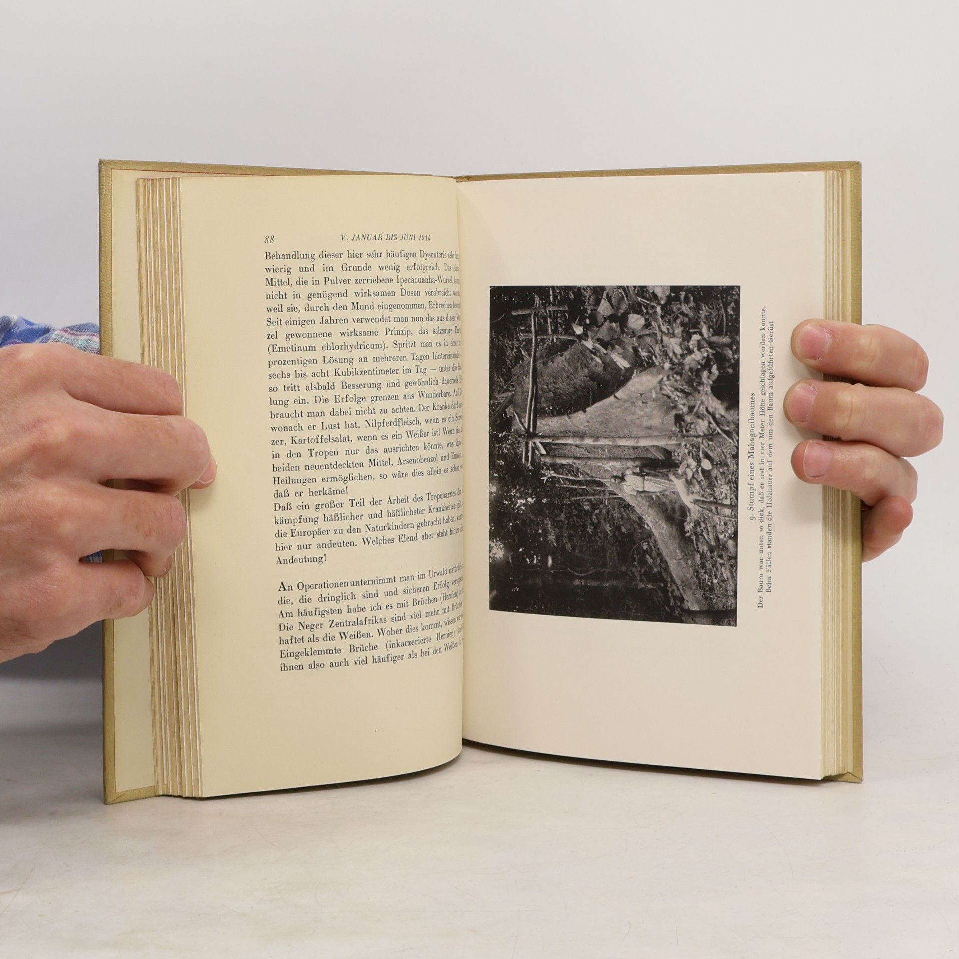 Albert Schweitzer Zwischen Wasser und Urwald