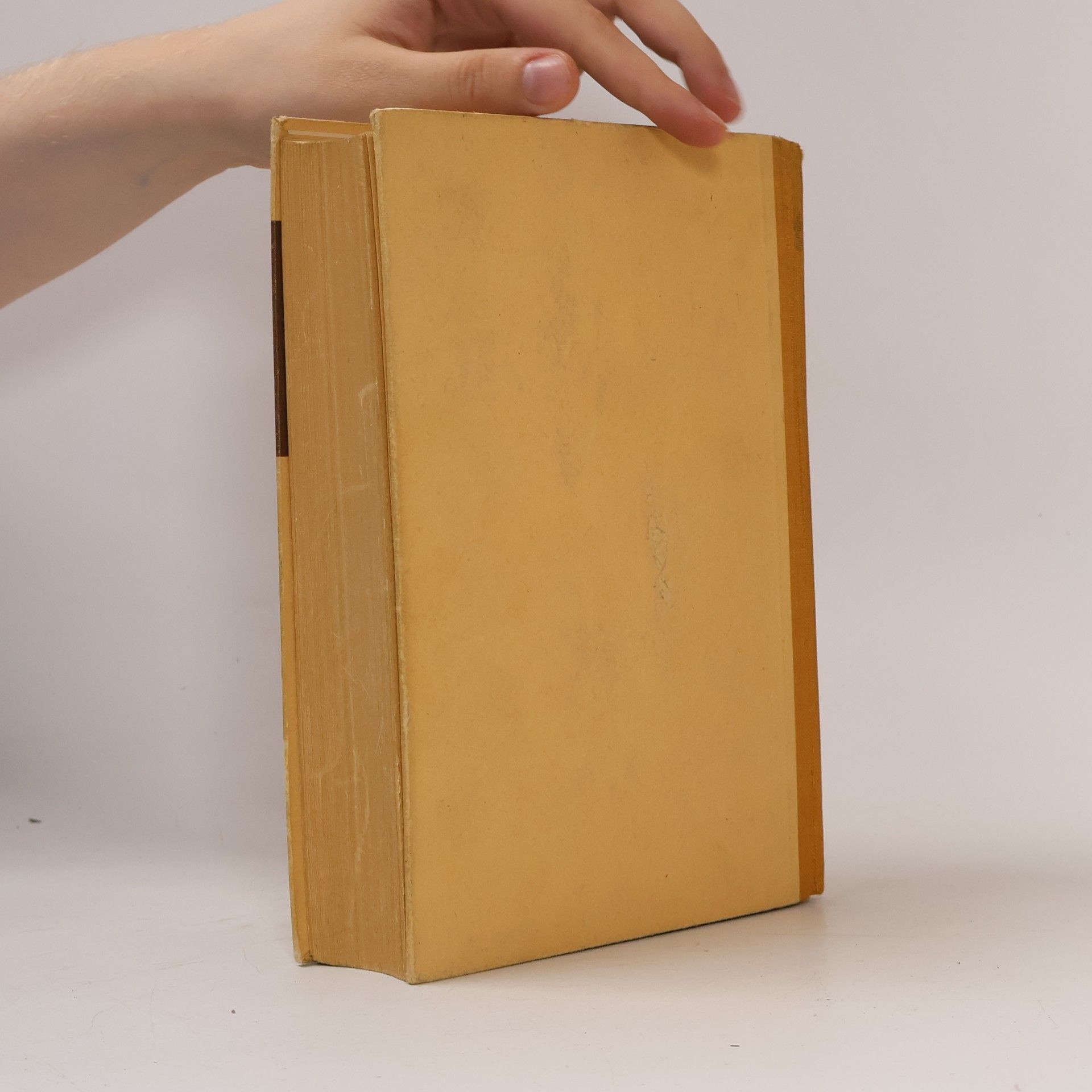 Kolektiv autorů Lesebuch der Weltliteratur 3