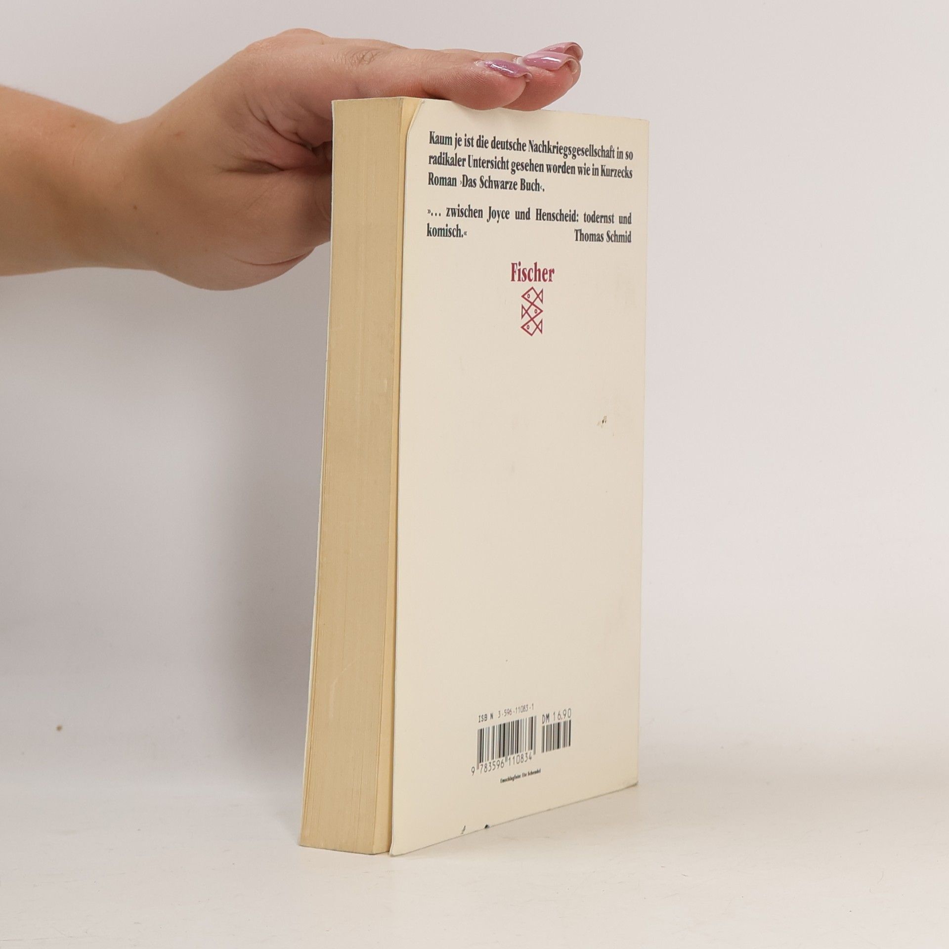 Peter Kurzeck Fischer Taschenbücher: Das schwarze Buch