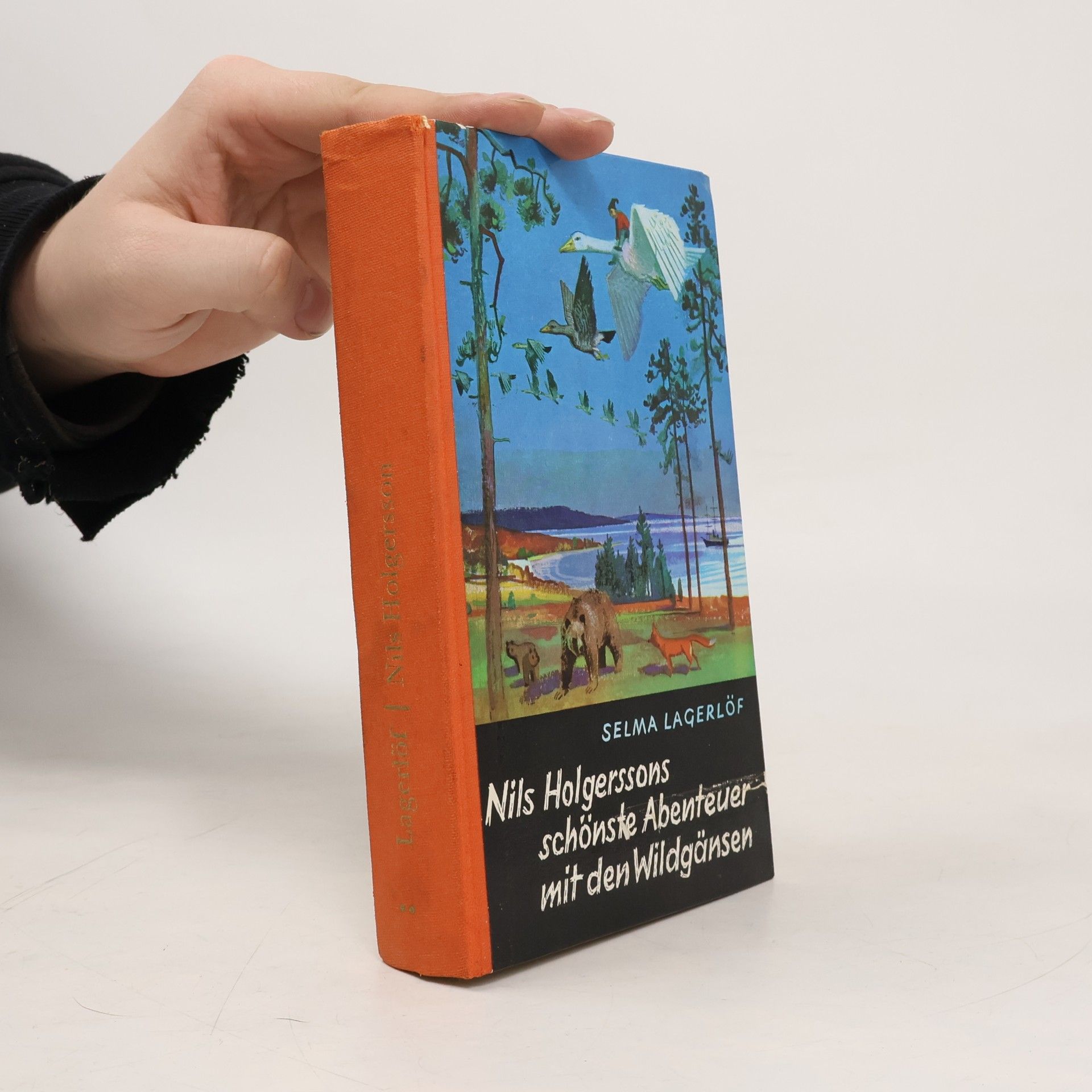 Selma Lagerlöf Nils Holgerssons schönste Abenteuer mit den Wildgänsen